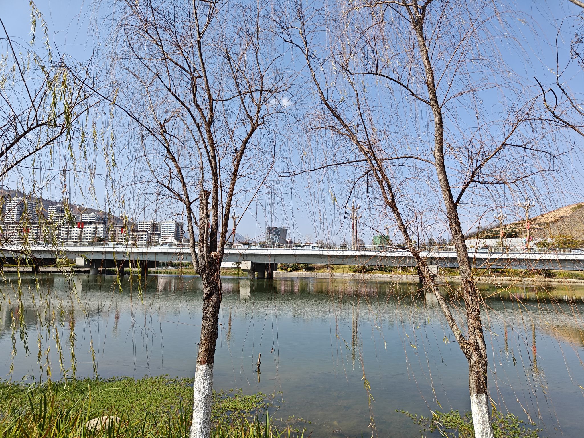 水中央湿地公园旅行图片 1