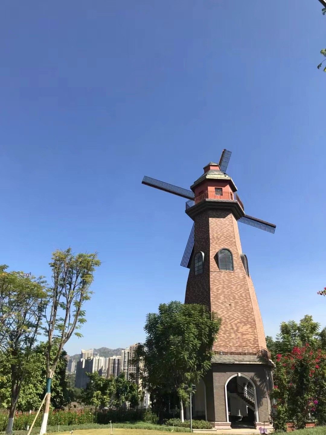 水中央湿地公园旅行图片 1
