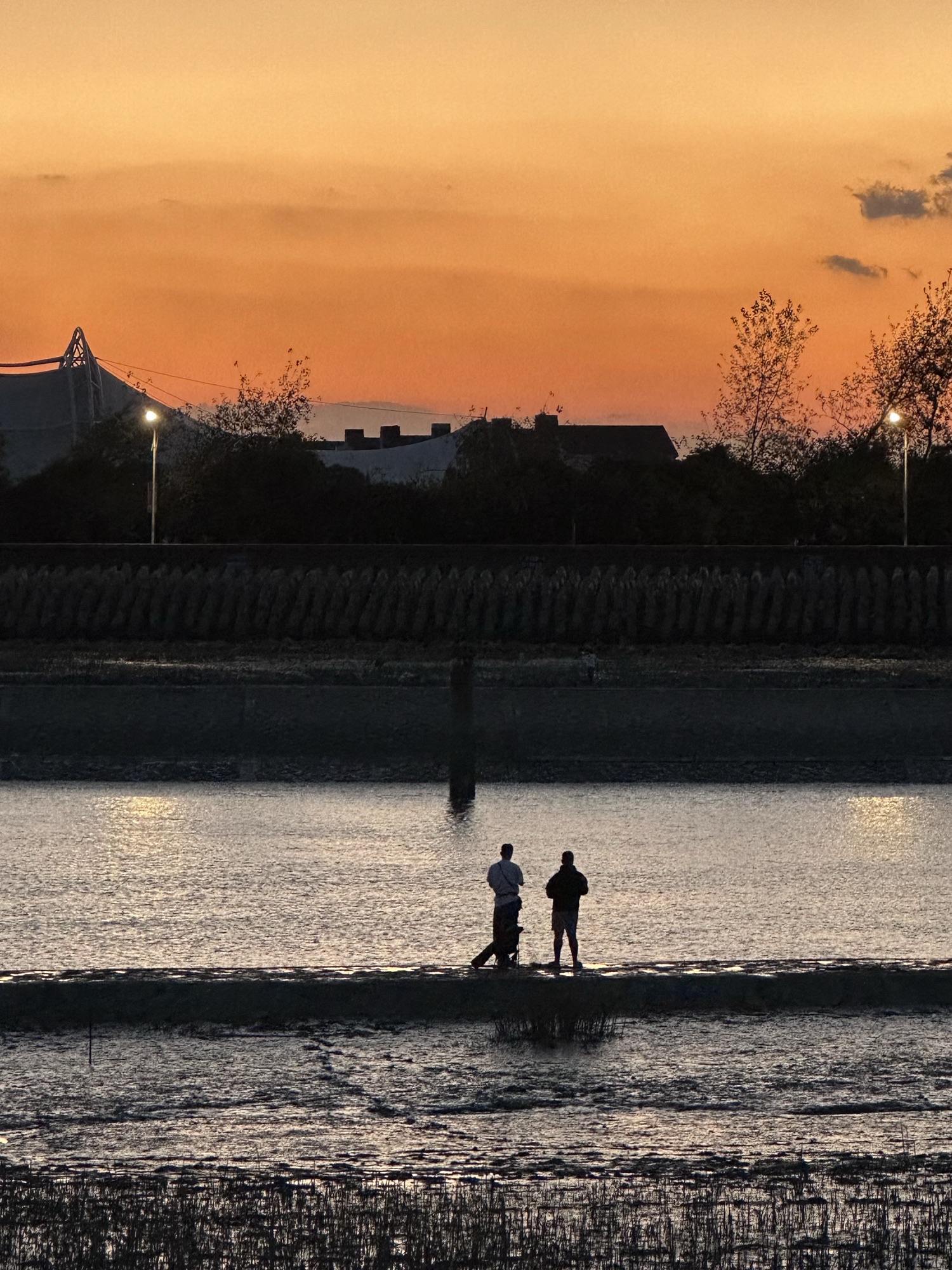 南闸公园旅行图片 3