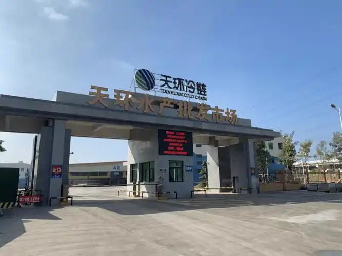 天环水产批发市场