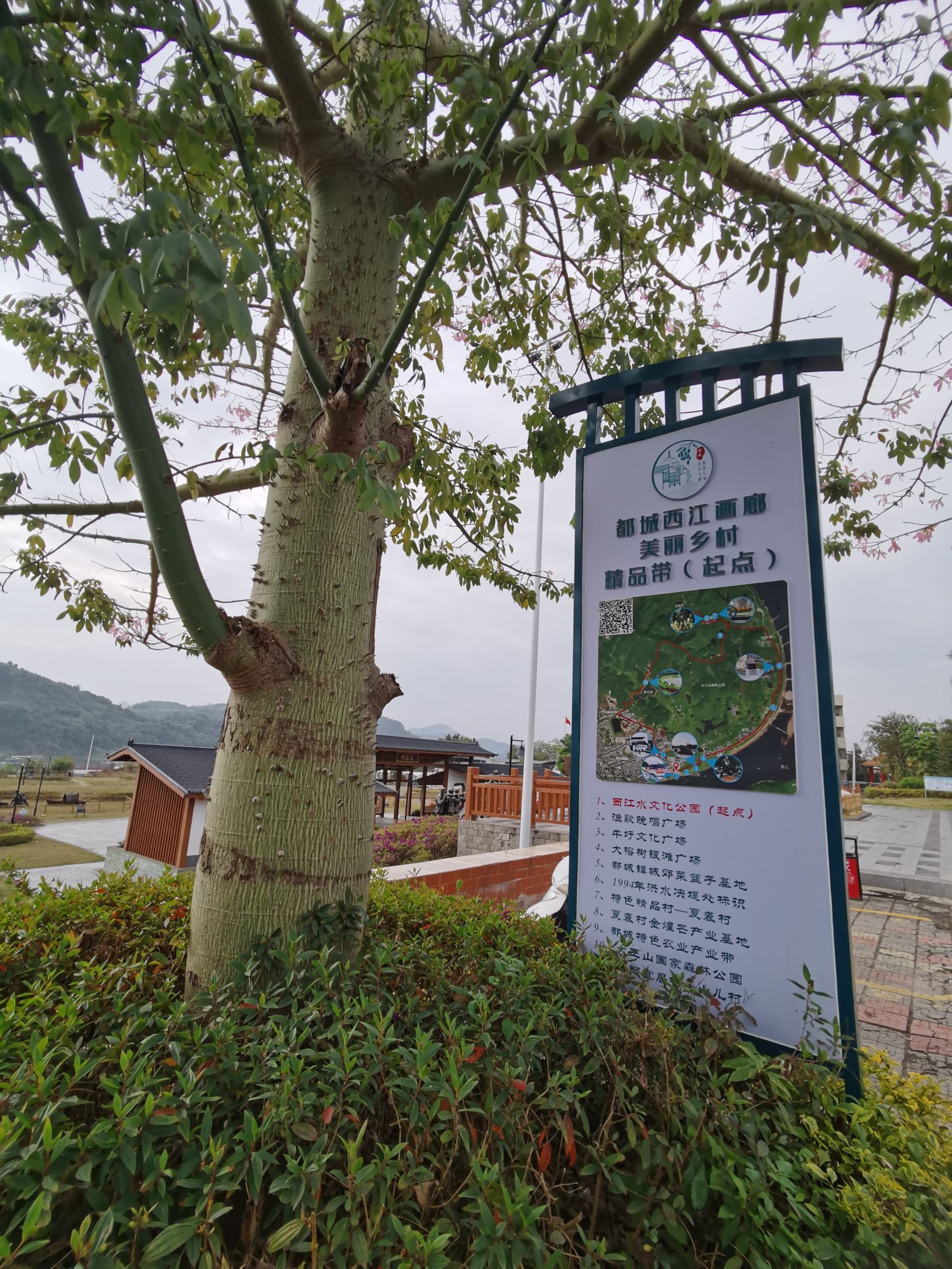 西江水文化公园旅行图片 3