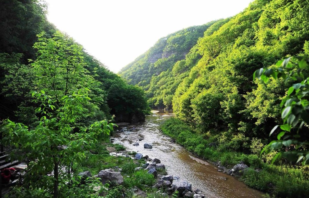 抚顺龙胆大峡谷旅行图片 3