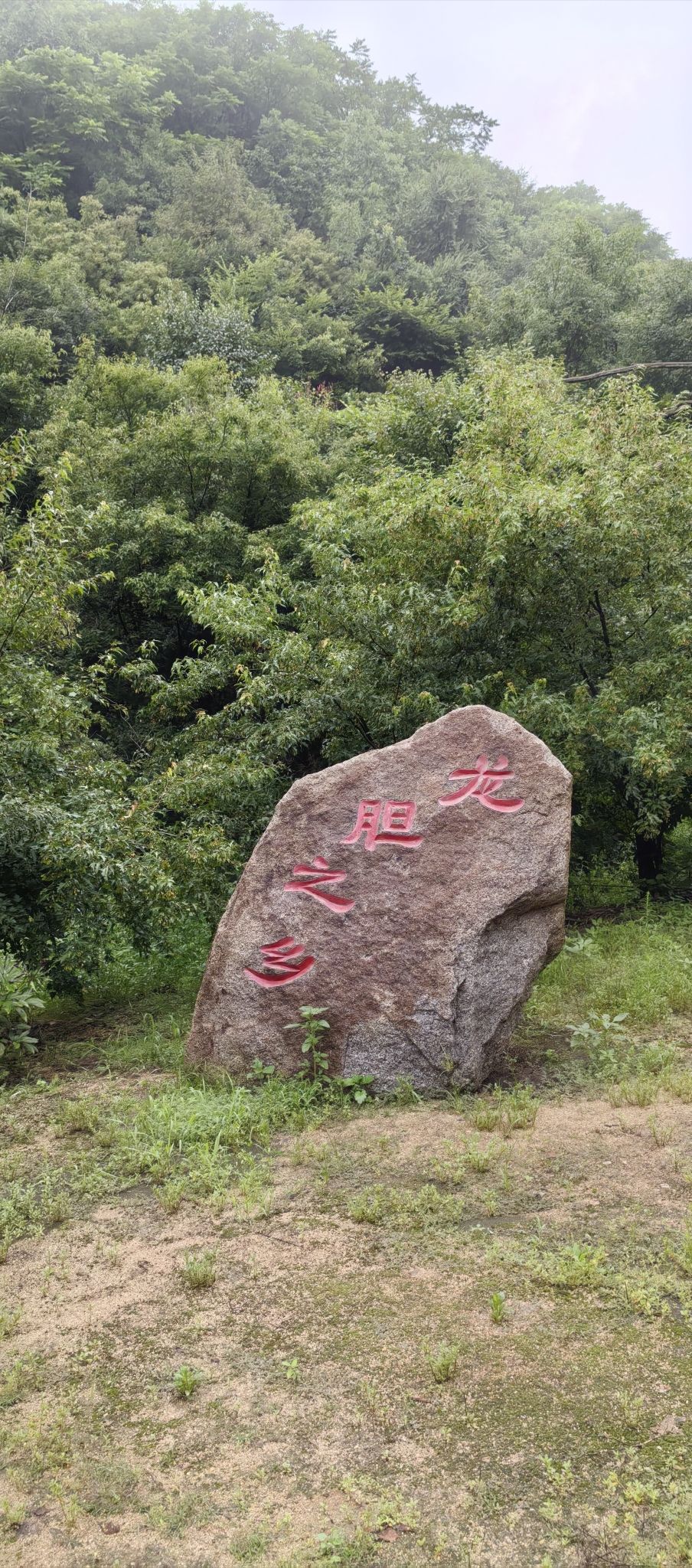 抚顺龙胆大峡谷旅行图片 3