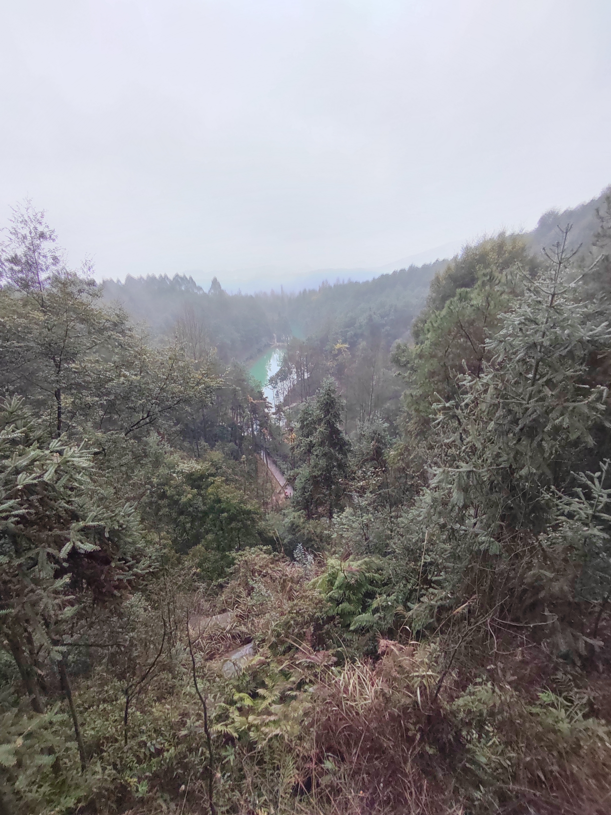 白市驿镇新店村1社灰岩矿公园旅行图片 2