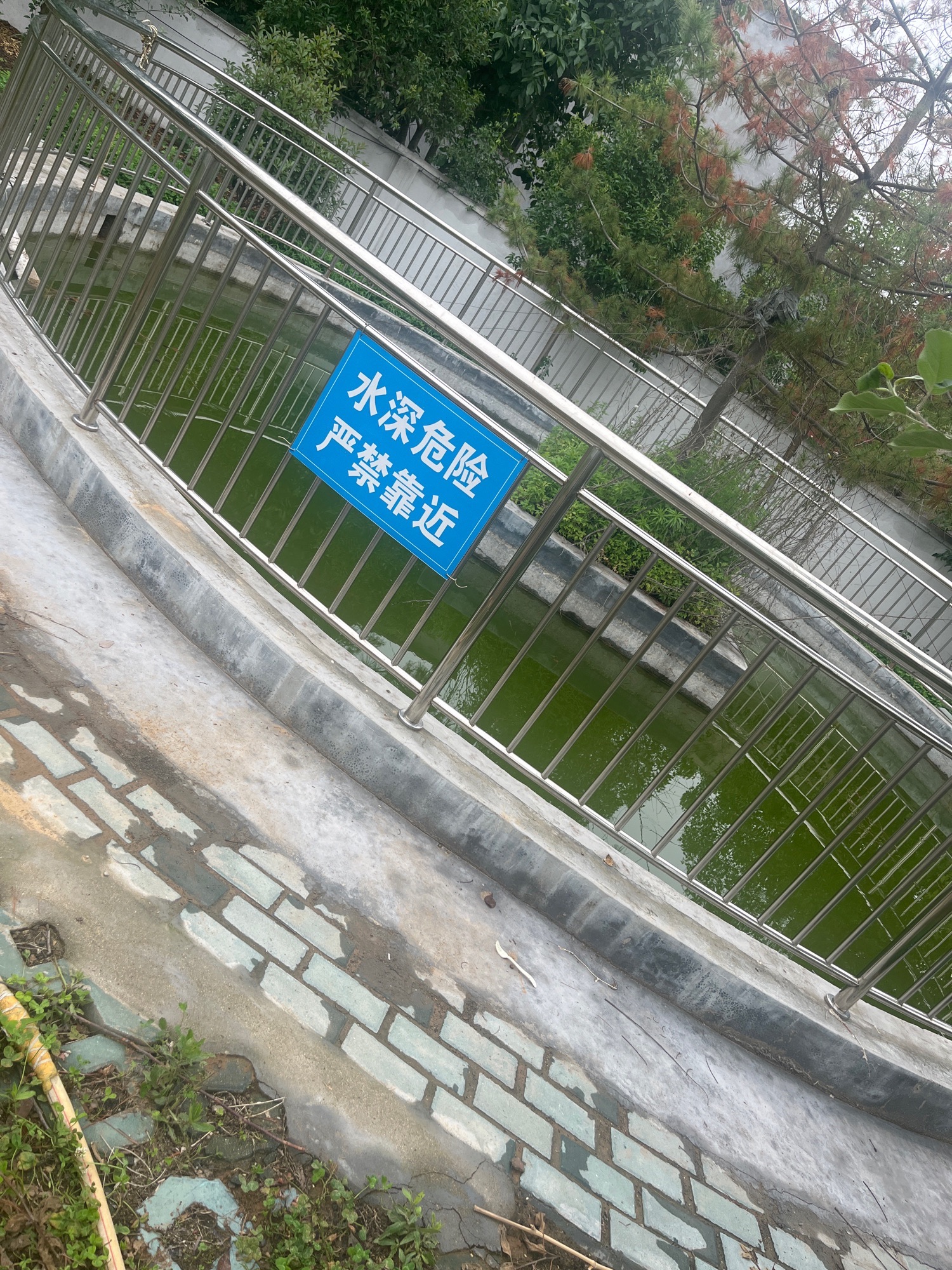正元池旅行图片 1