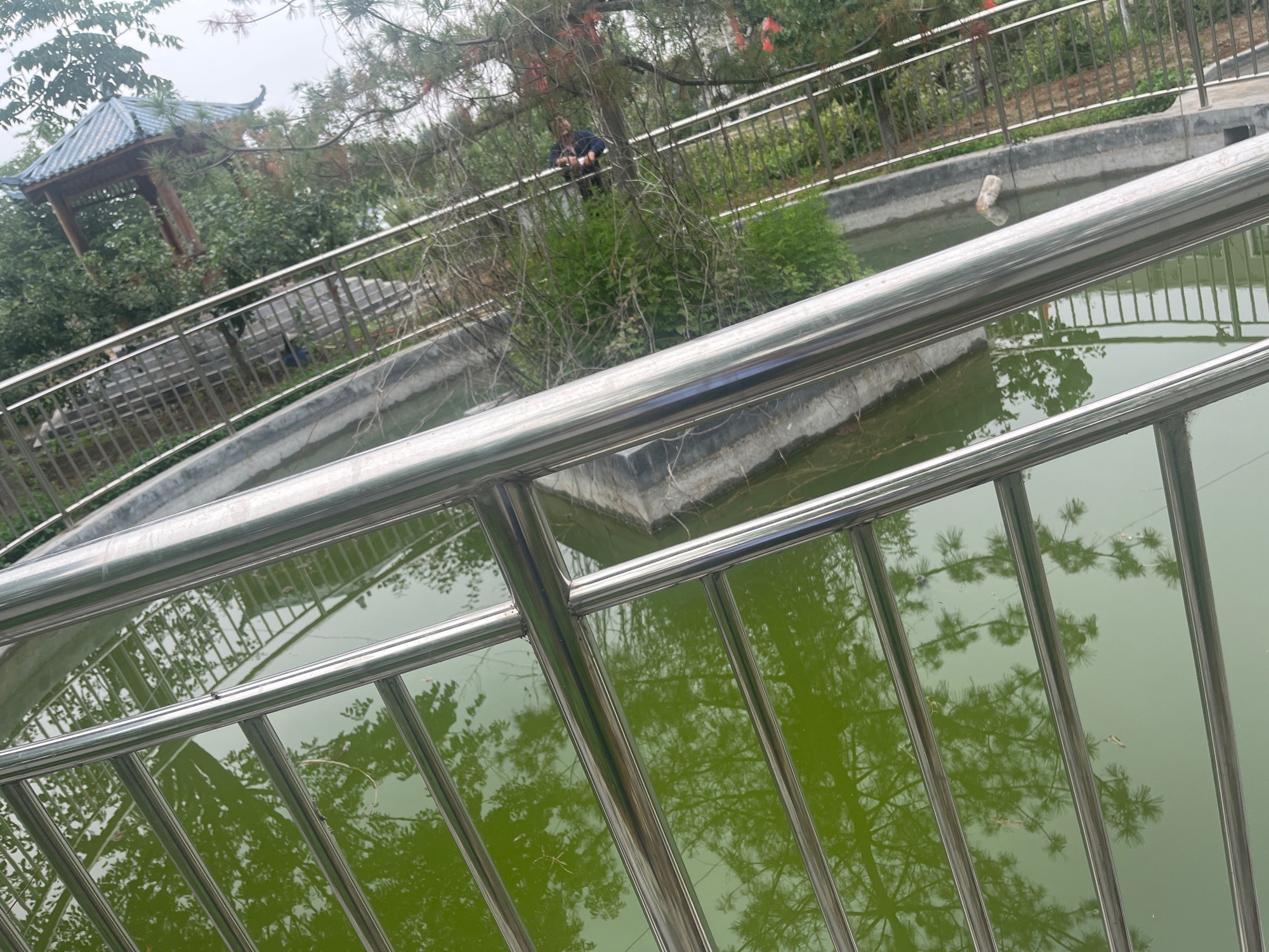 正元池旅行图片 2