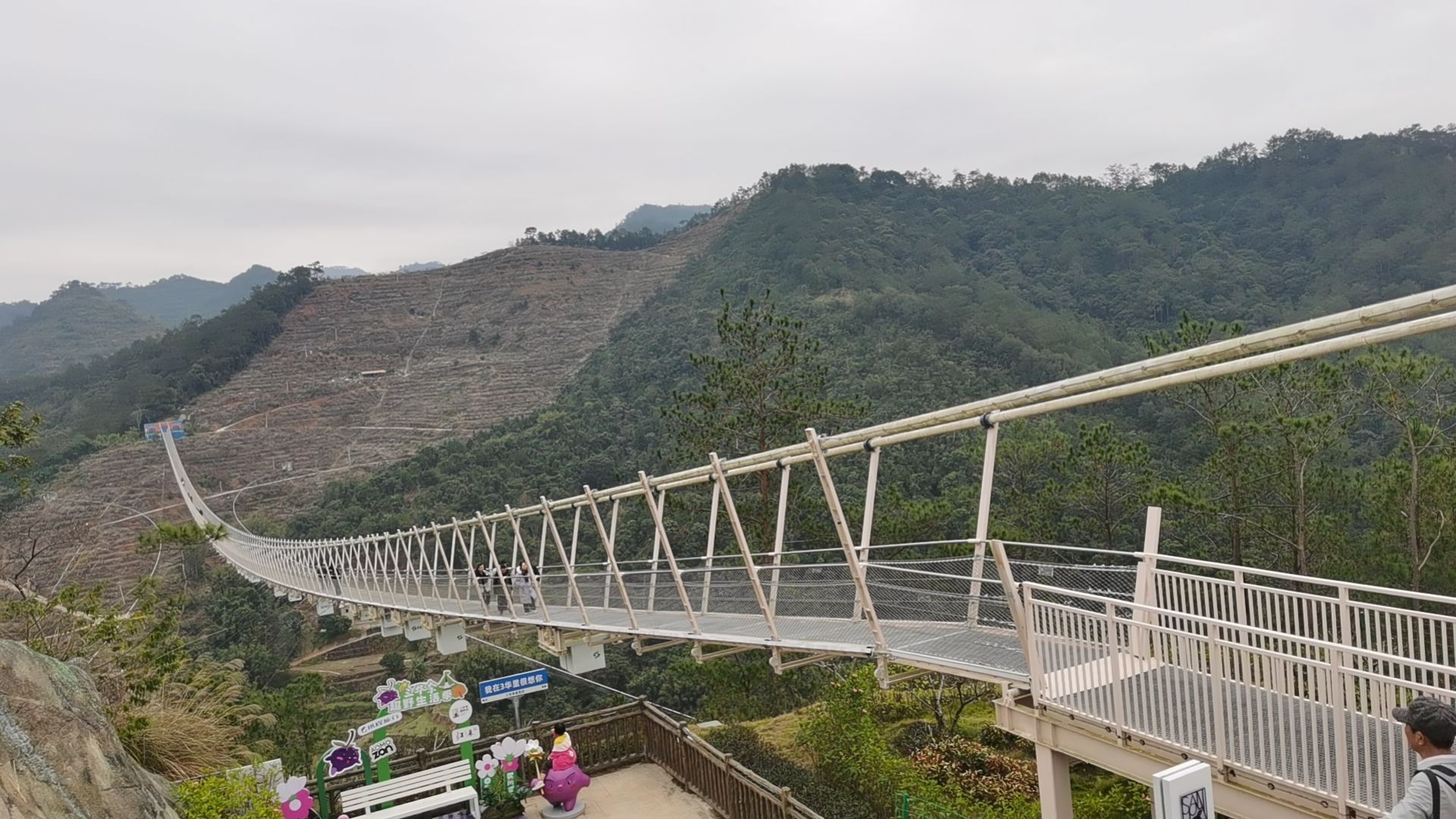 信宜三华李度假区旅行图片 2