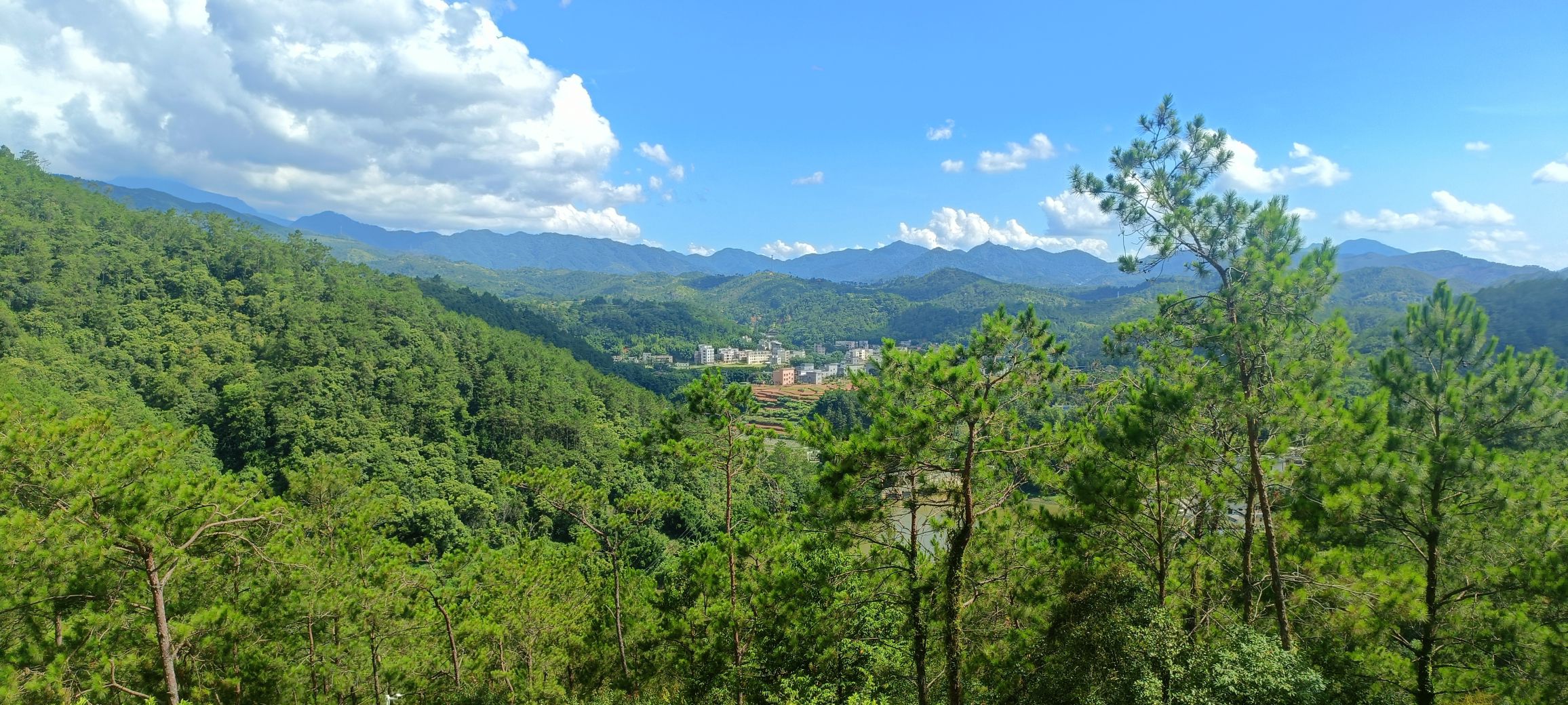 信宜三华李度假区旅行图片 3