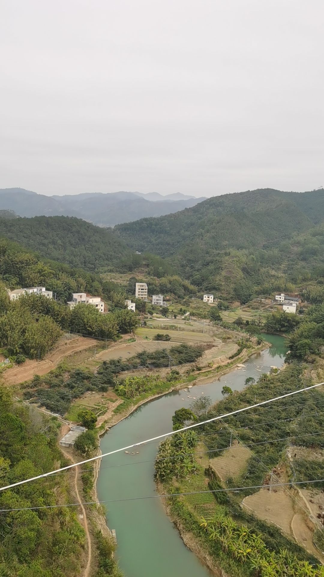 信宜三华李度假区旅行图片 3