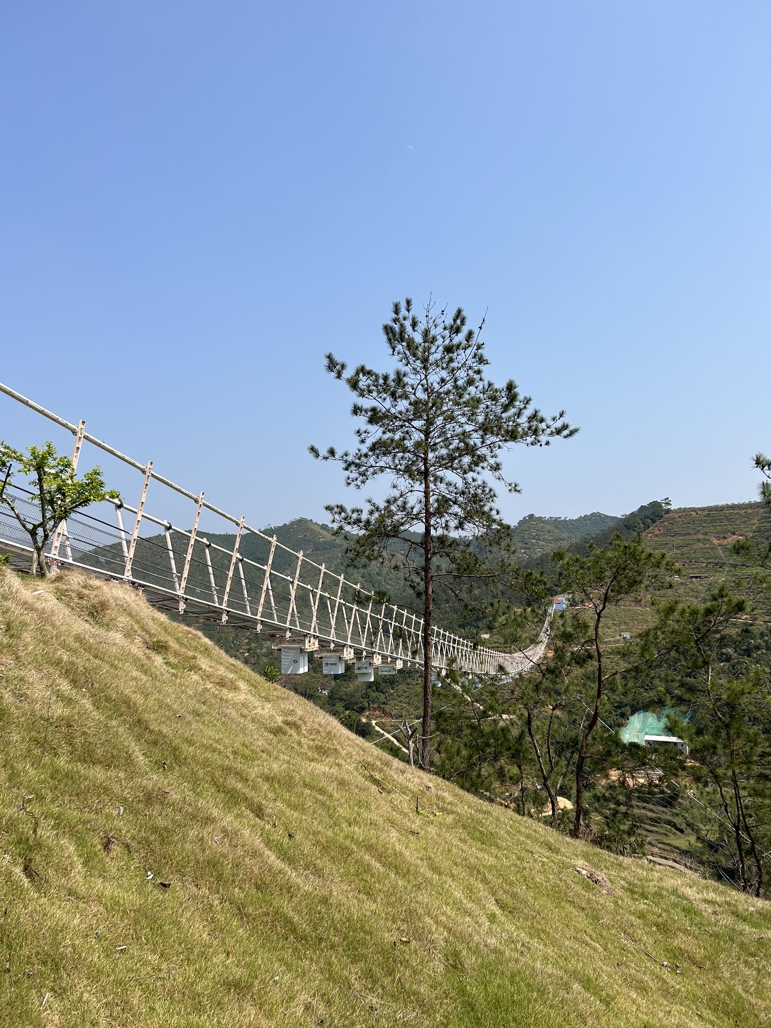 信宜三华李度假区旅行图片 1