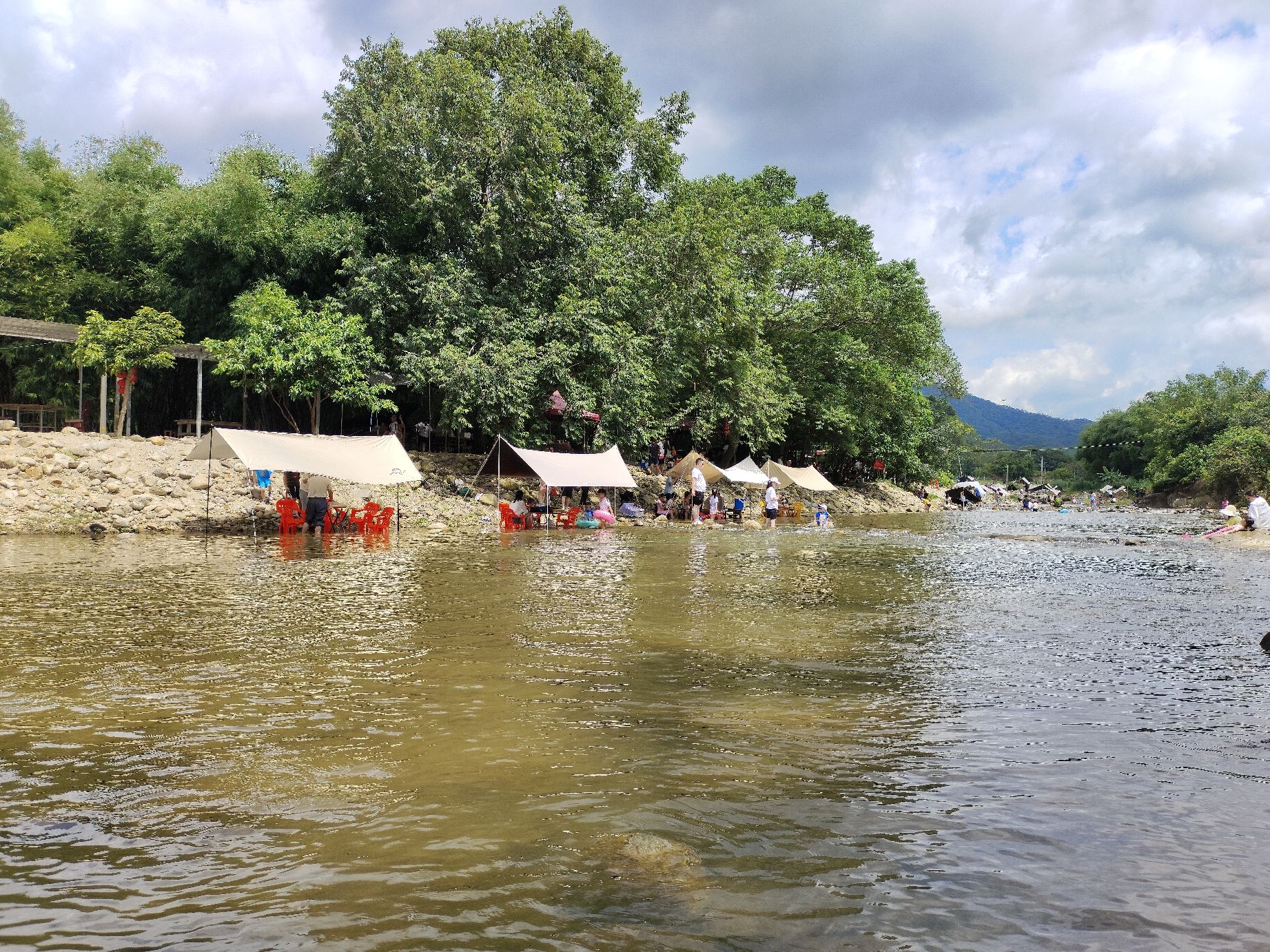 罗浮山休闲竹林