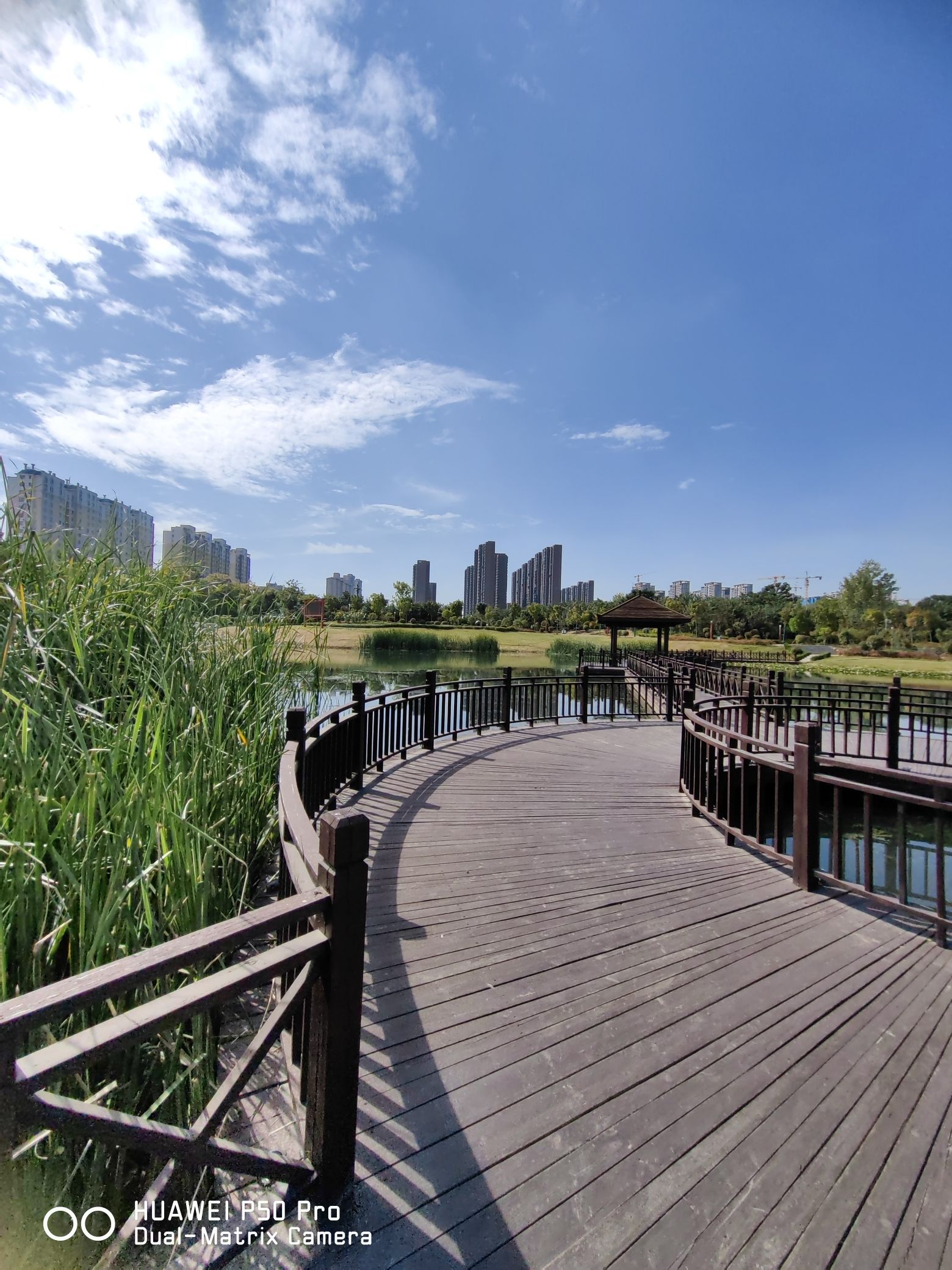 淞江湖旅行图片 3