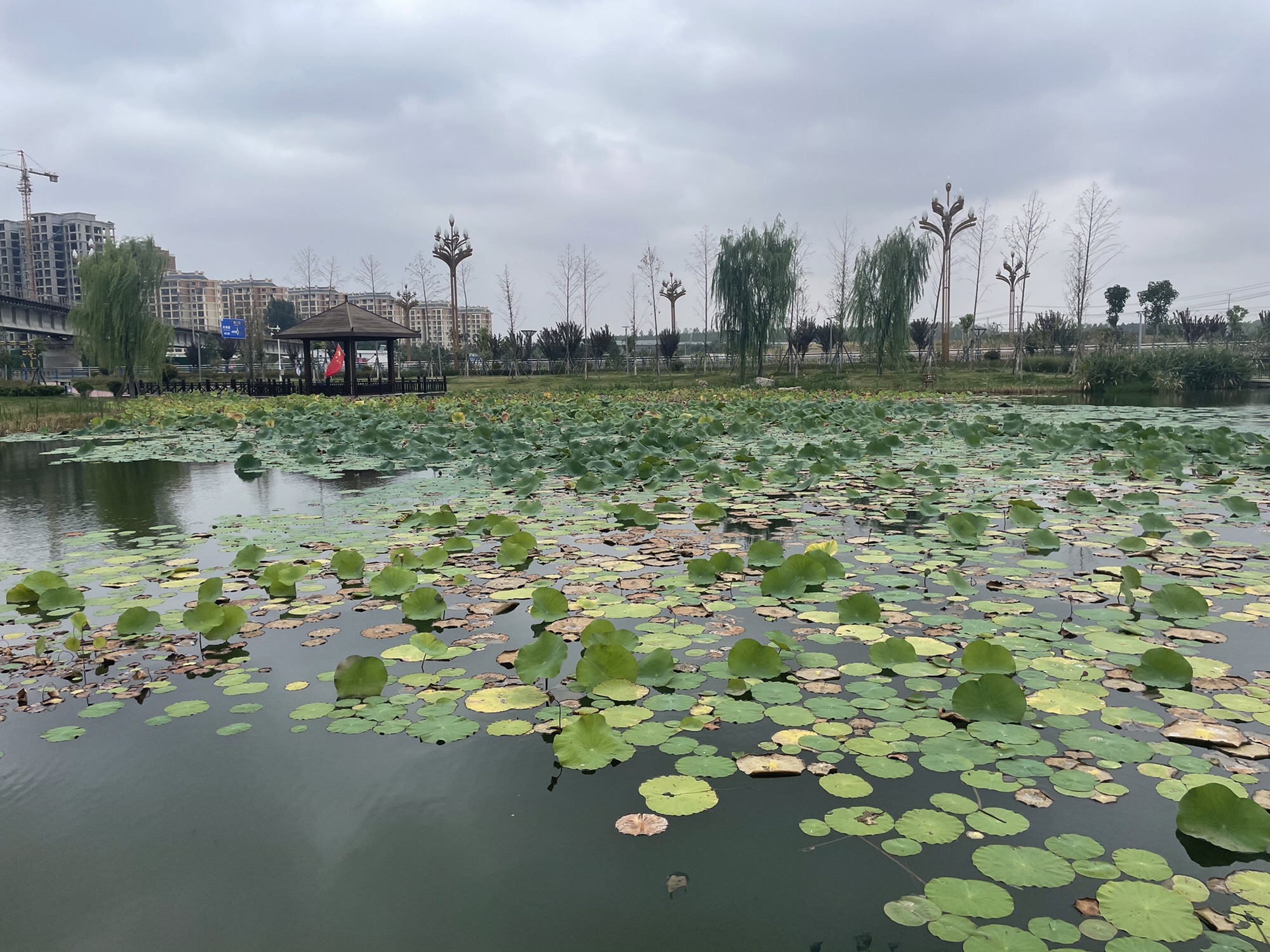 淞江湖旅行图片 2