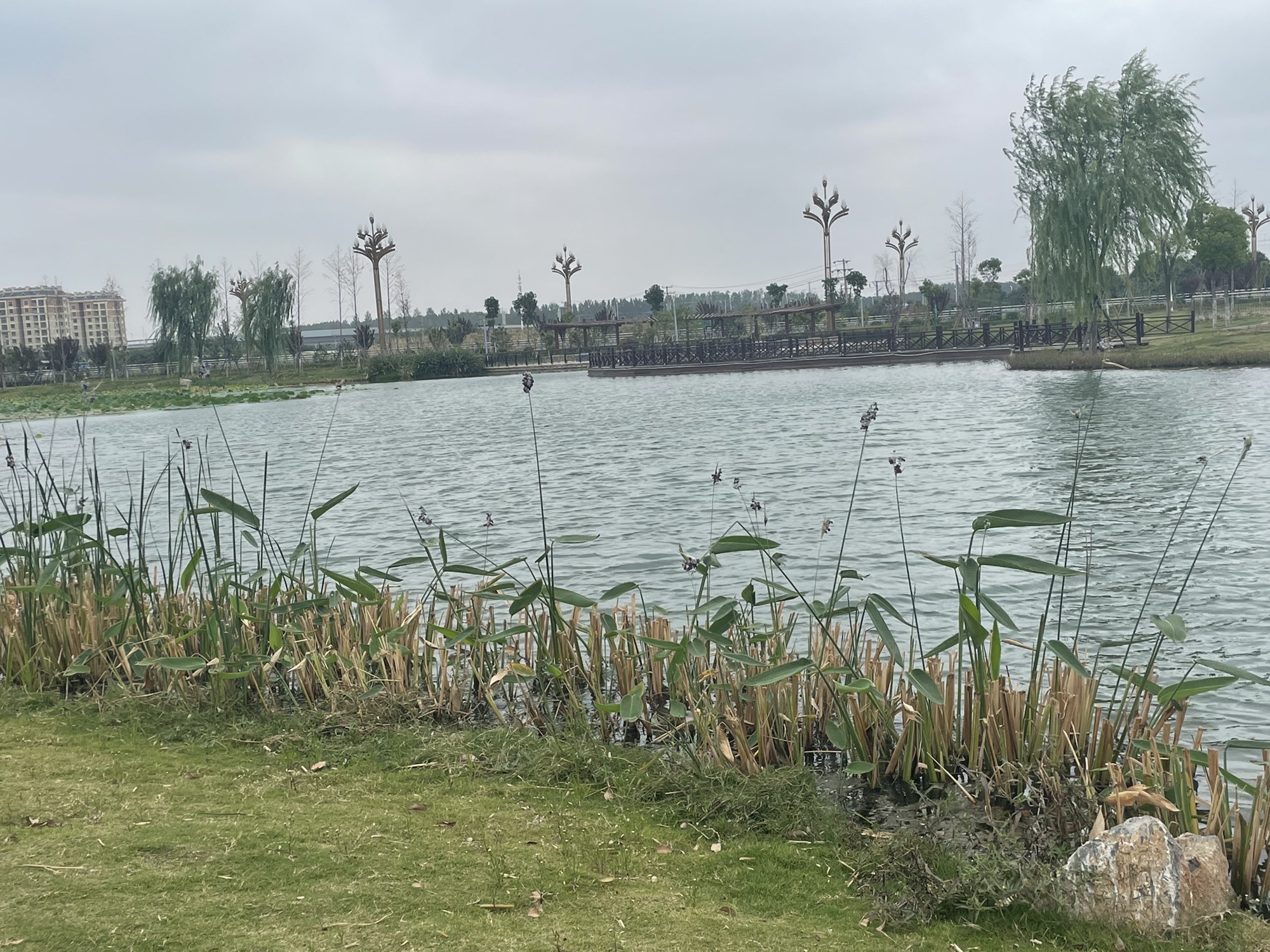 淞江湖旅行图片 3