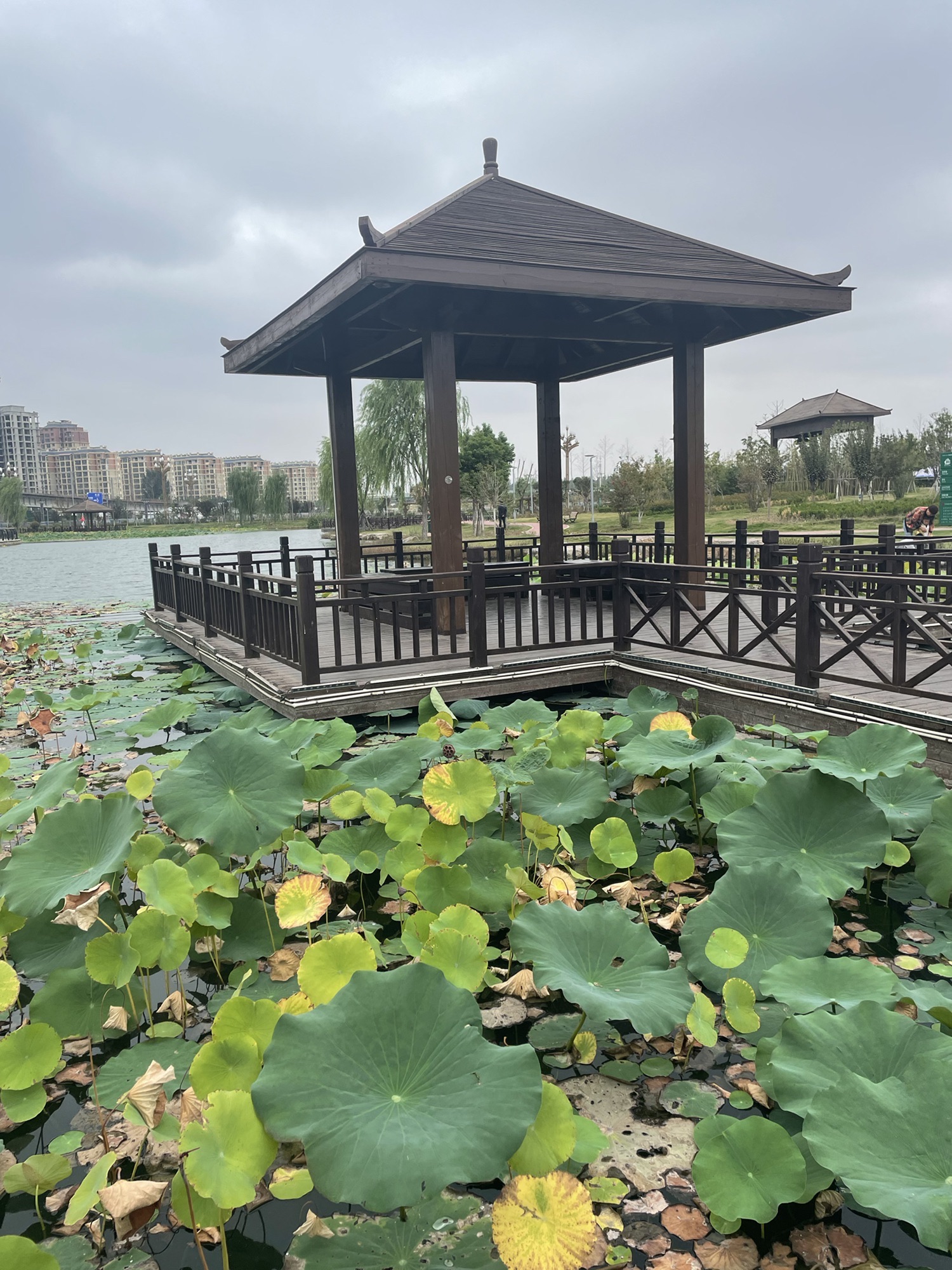 淞江湖旅行图片 2