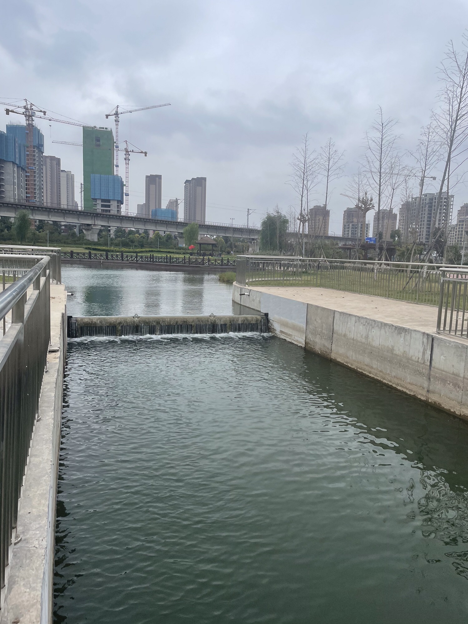 淞江湖旅行图片 3