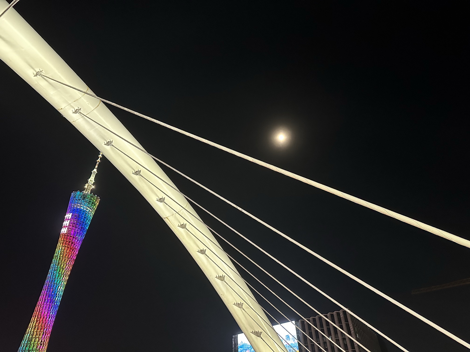 海心桥旅行图片 3