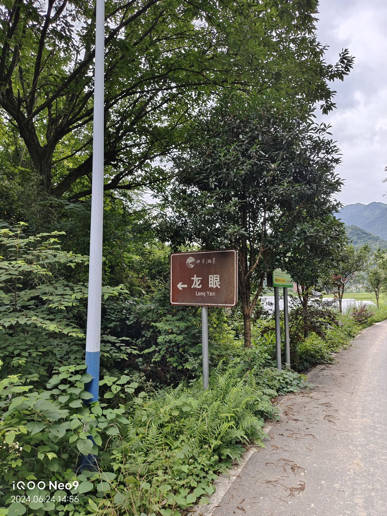 龙眼旅行图片 2