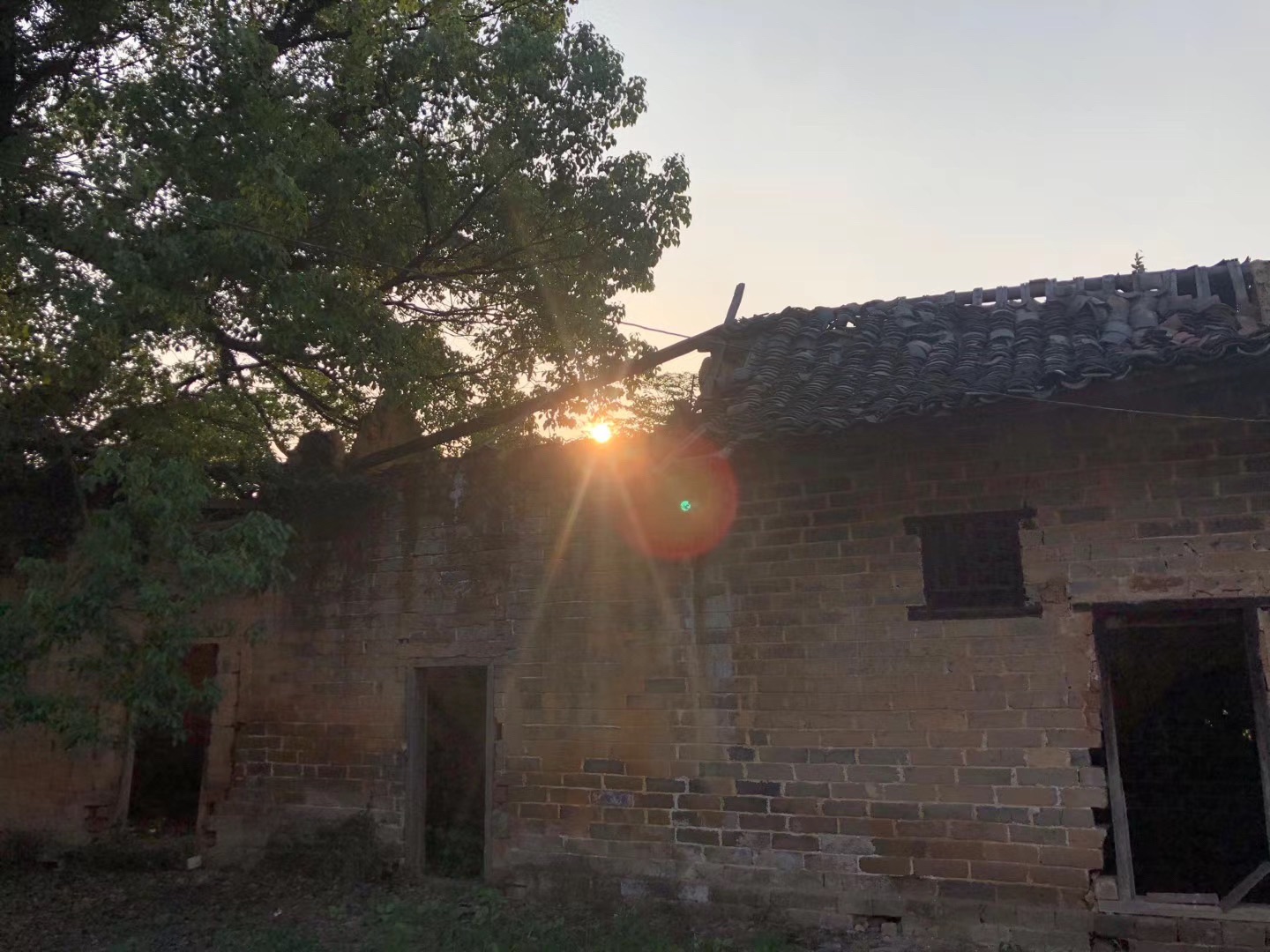 虎踞陈家大屋旅行图片 3