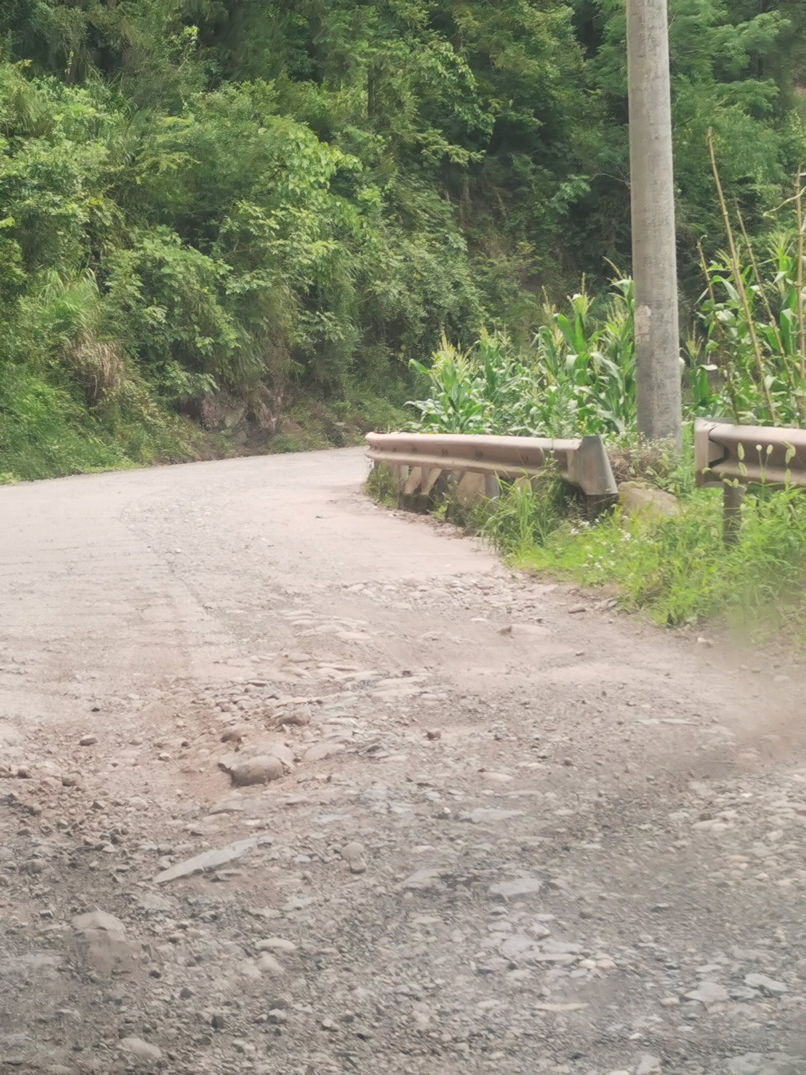 四川省黑宝山森林公园旅行图片 2