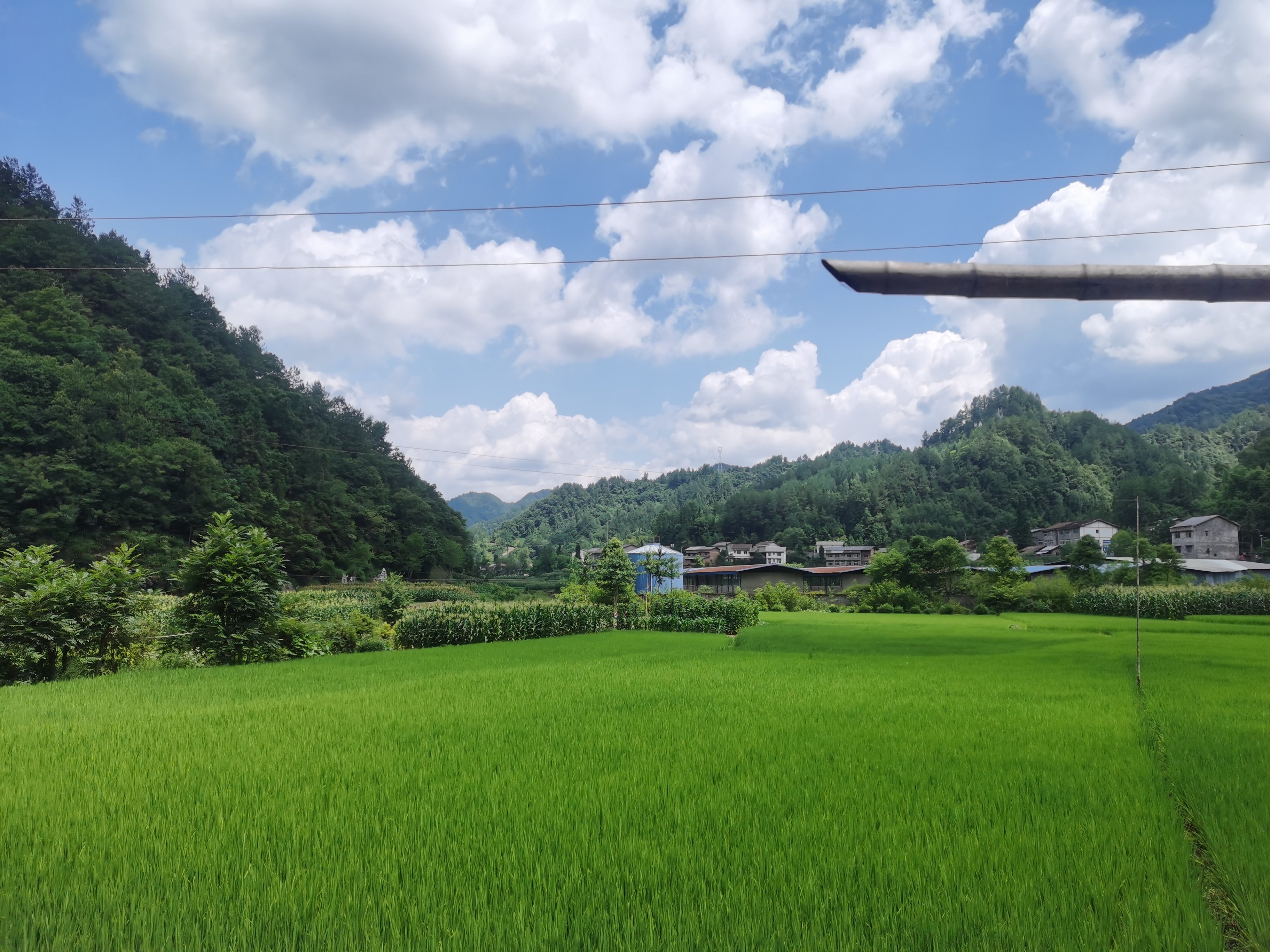 四川省黑宝山森林公园旅行图片 1