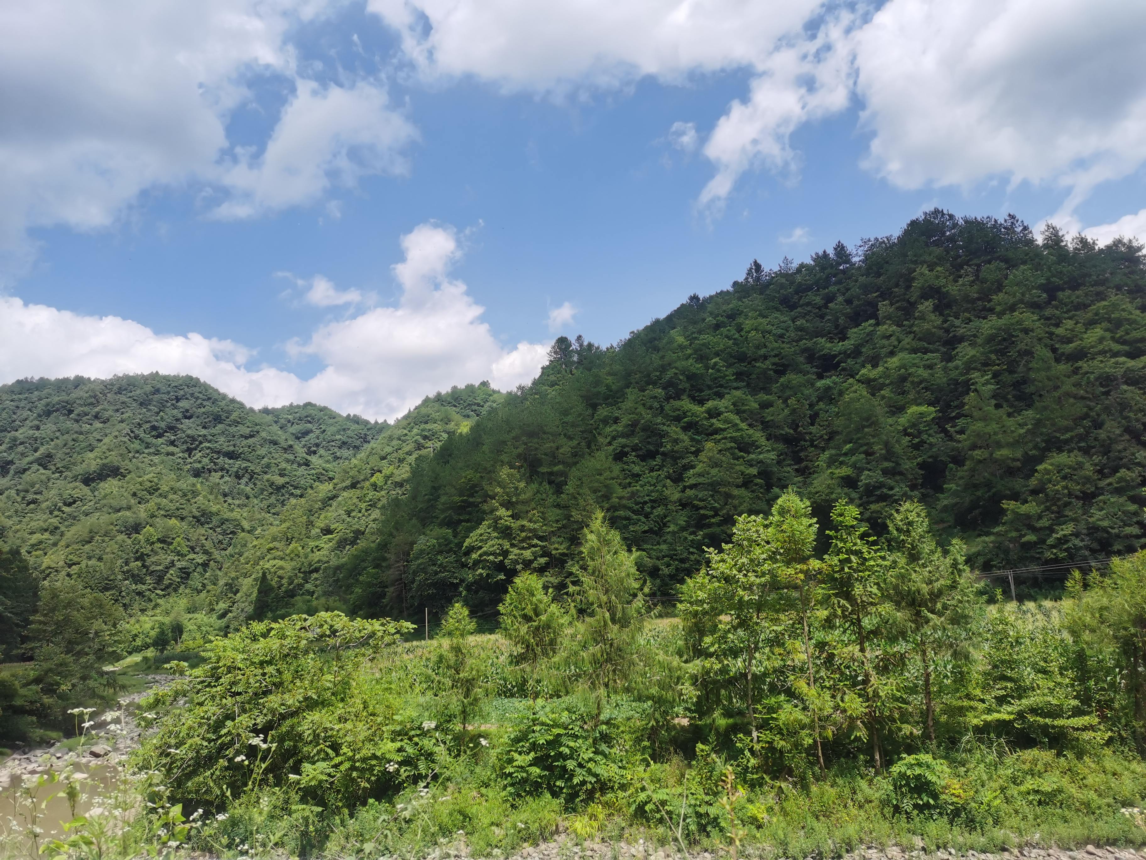 四川省黑宝山森林公园