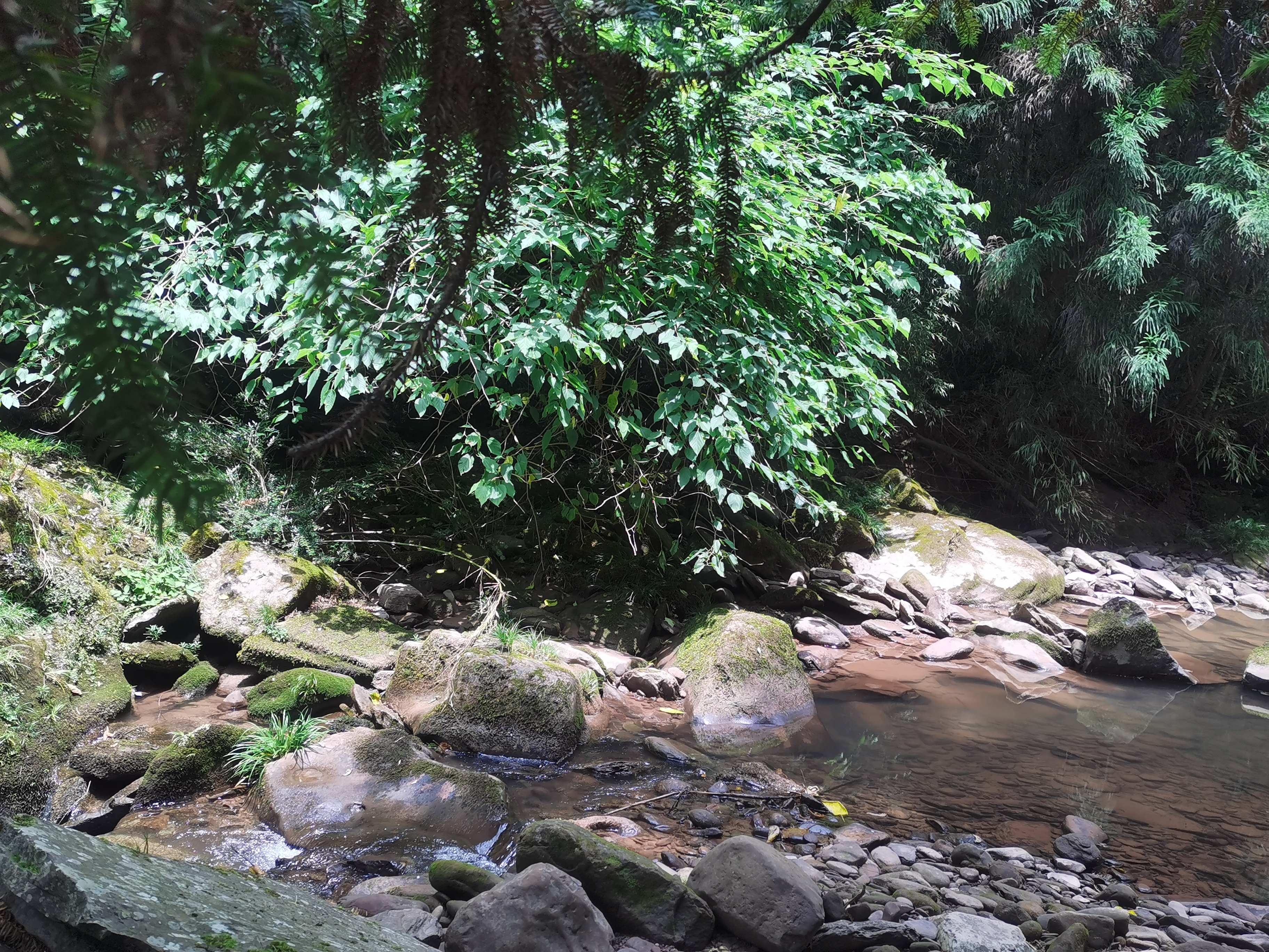 四川省黑宝山森林公园旅行图片 3