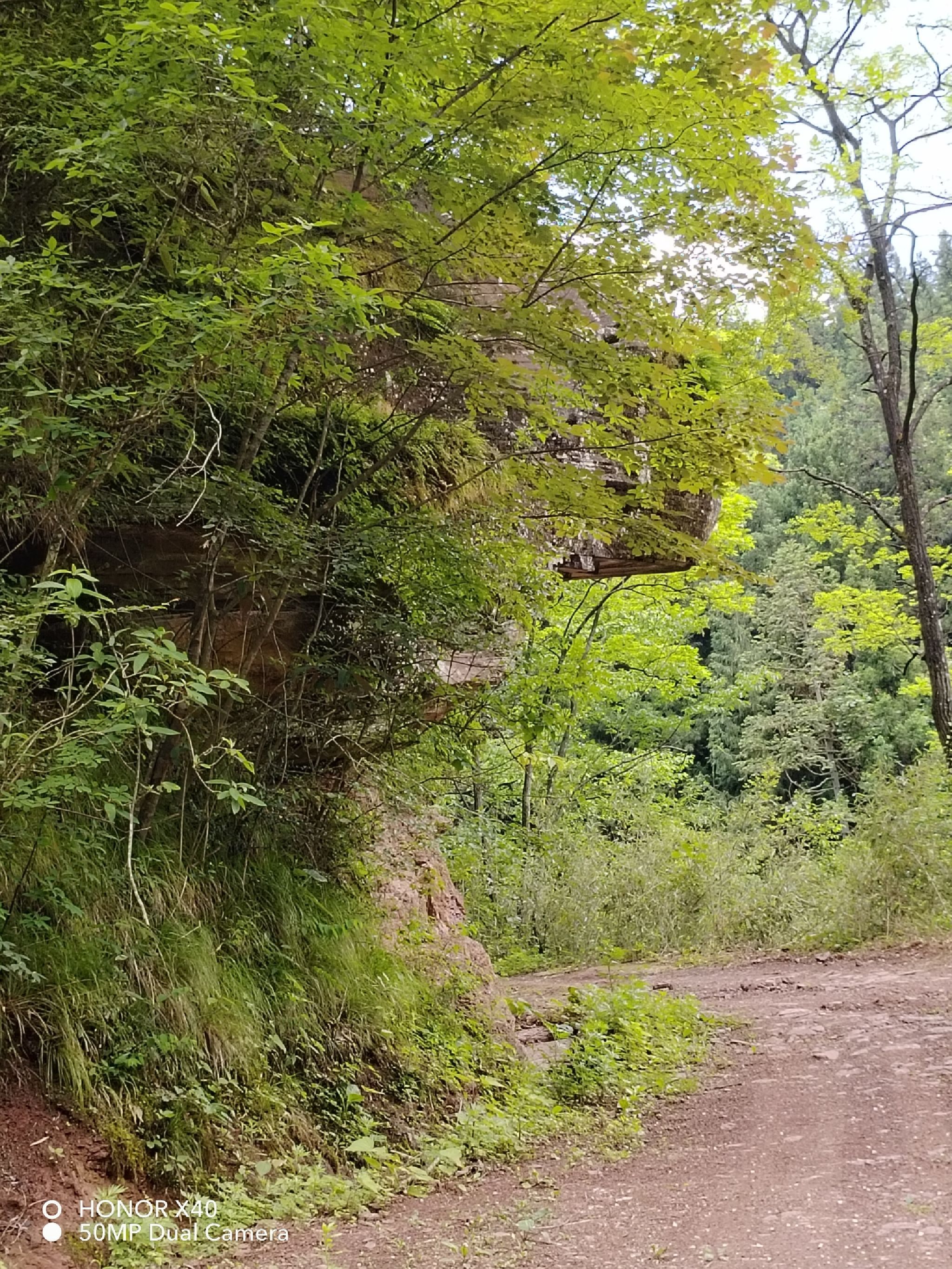 四川省黑宝山森林公园旅行图片 2