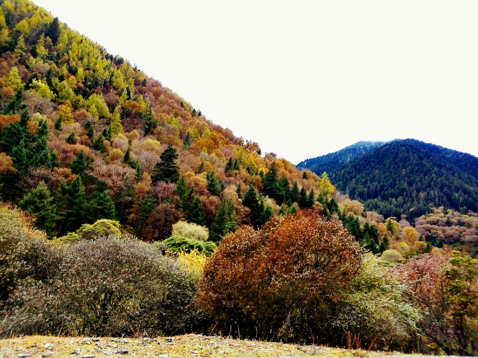 四川省黑宝山森林公园旅行图片 3