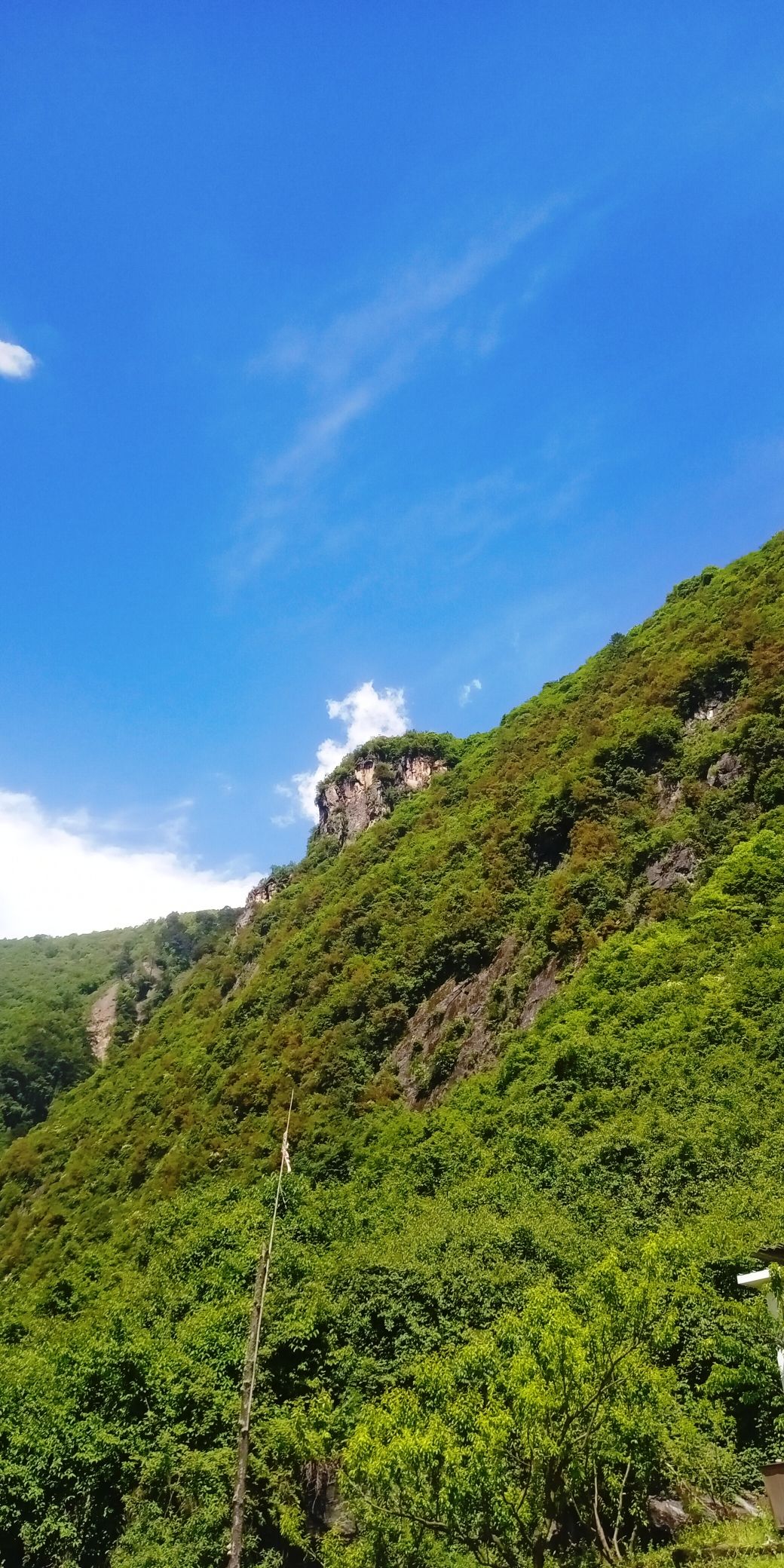 四川省黑宝山森林公园旅行图片 2