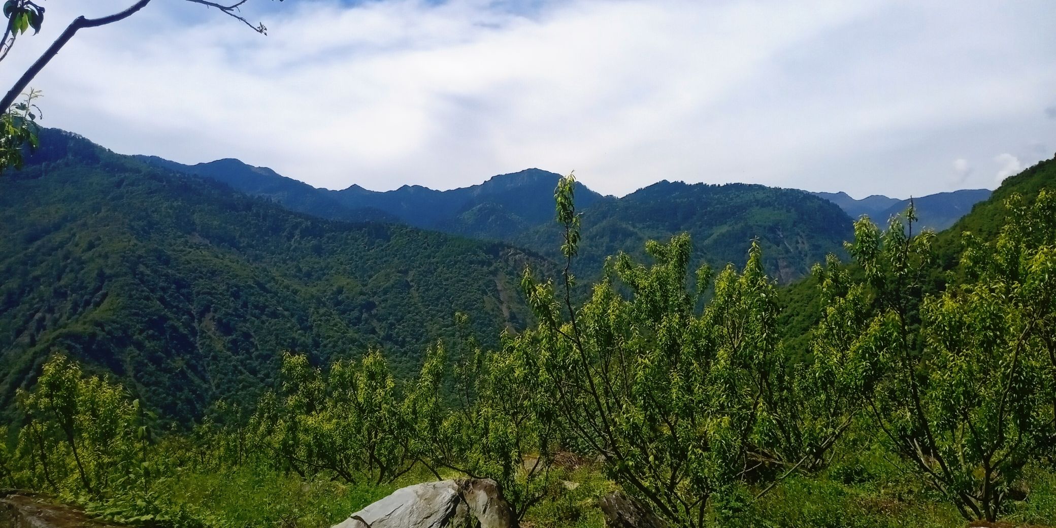 四川省黑宝山森林公园旅行图片 1