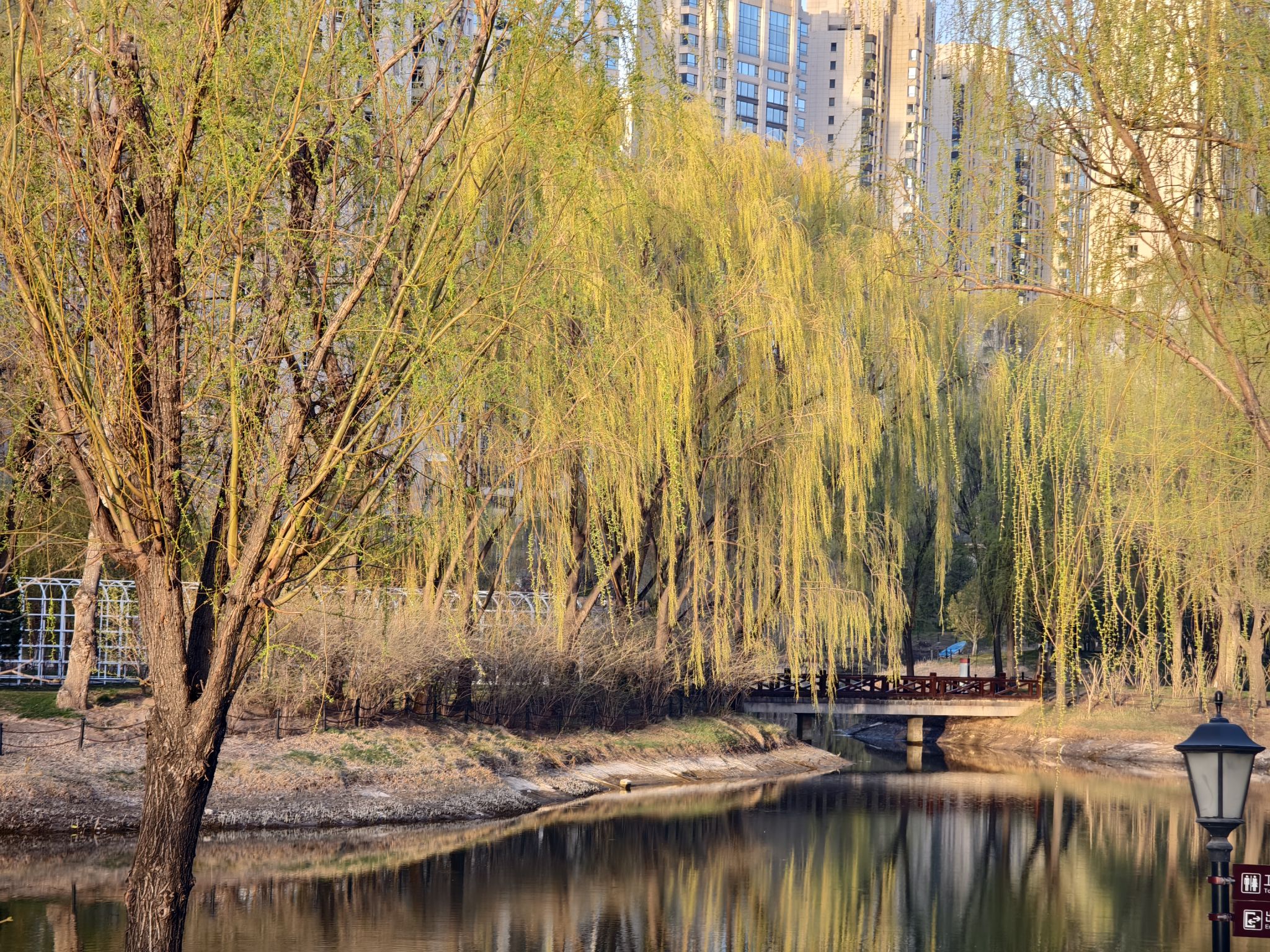 祥云公园旅行图片 2