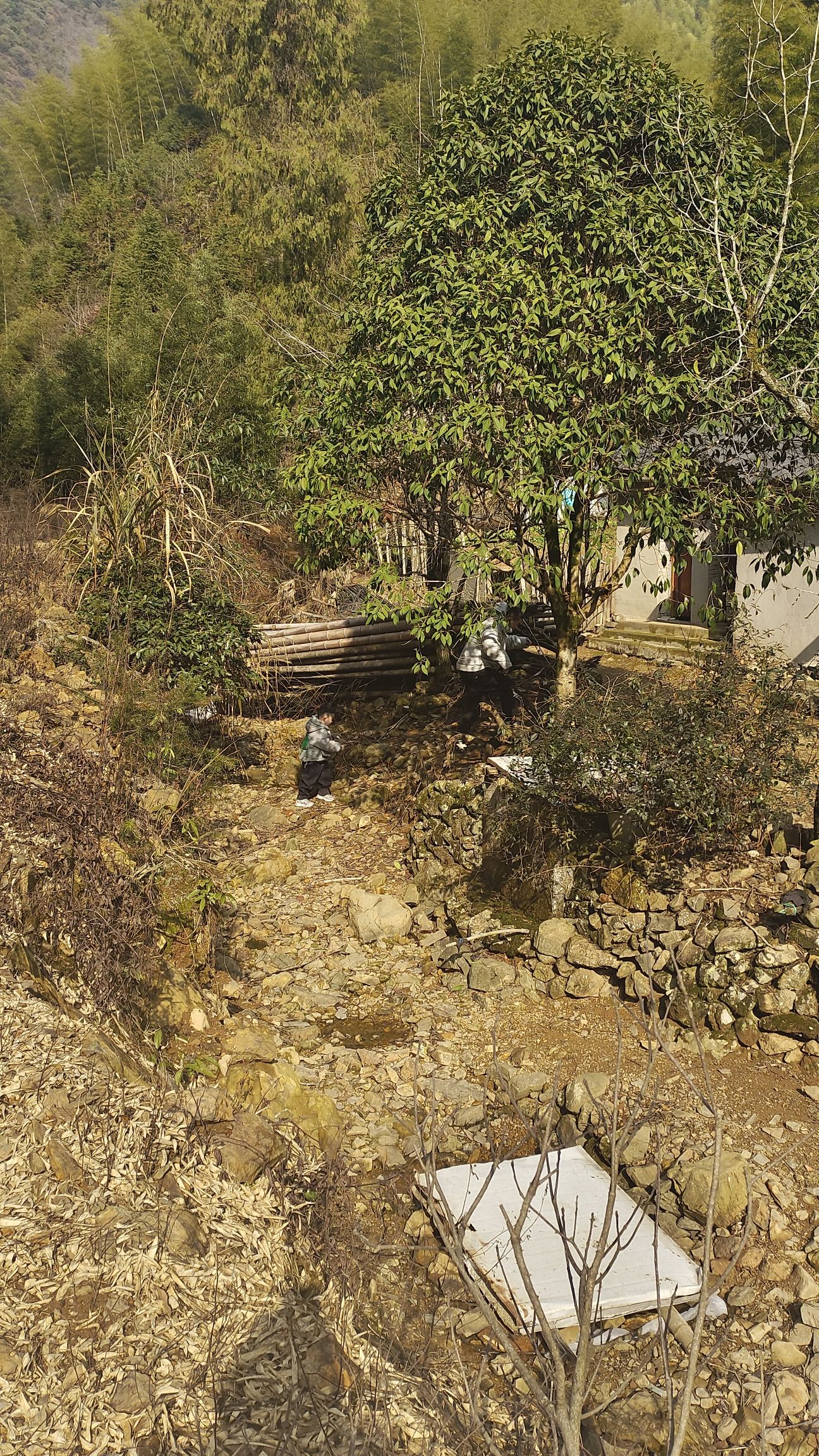西源村景区旅行图片 1