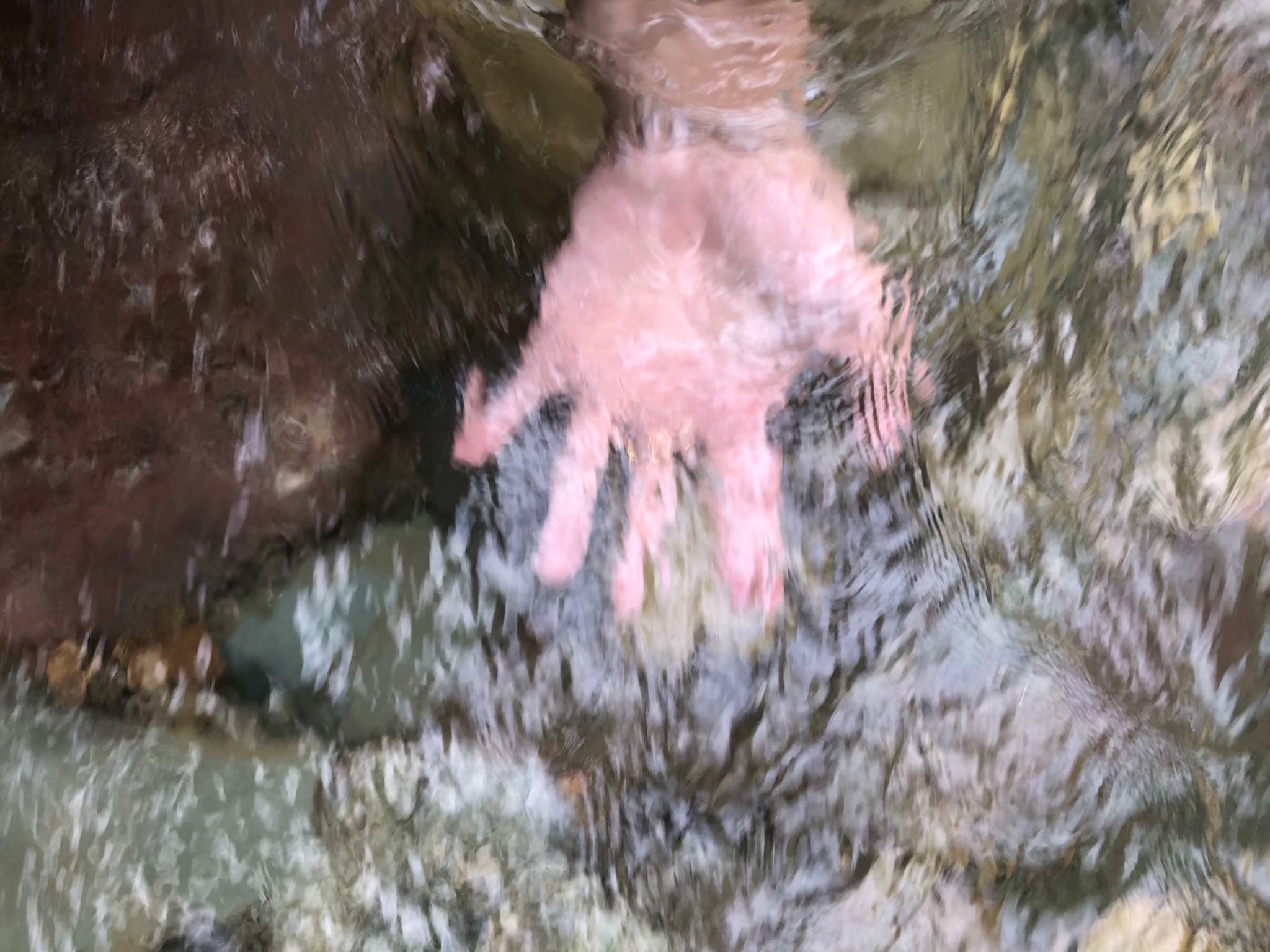 西源村景区旅行图片 1