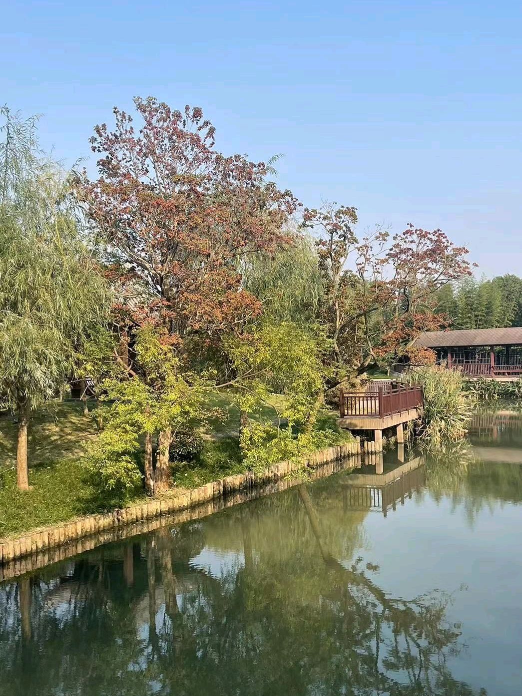 竹林村景区旅行图片 1