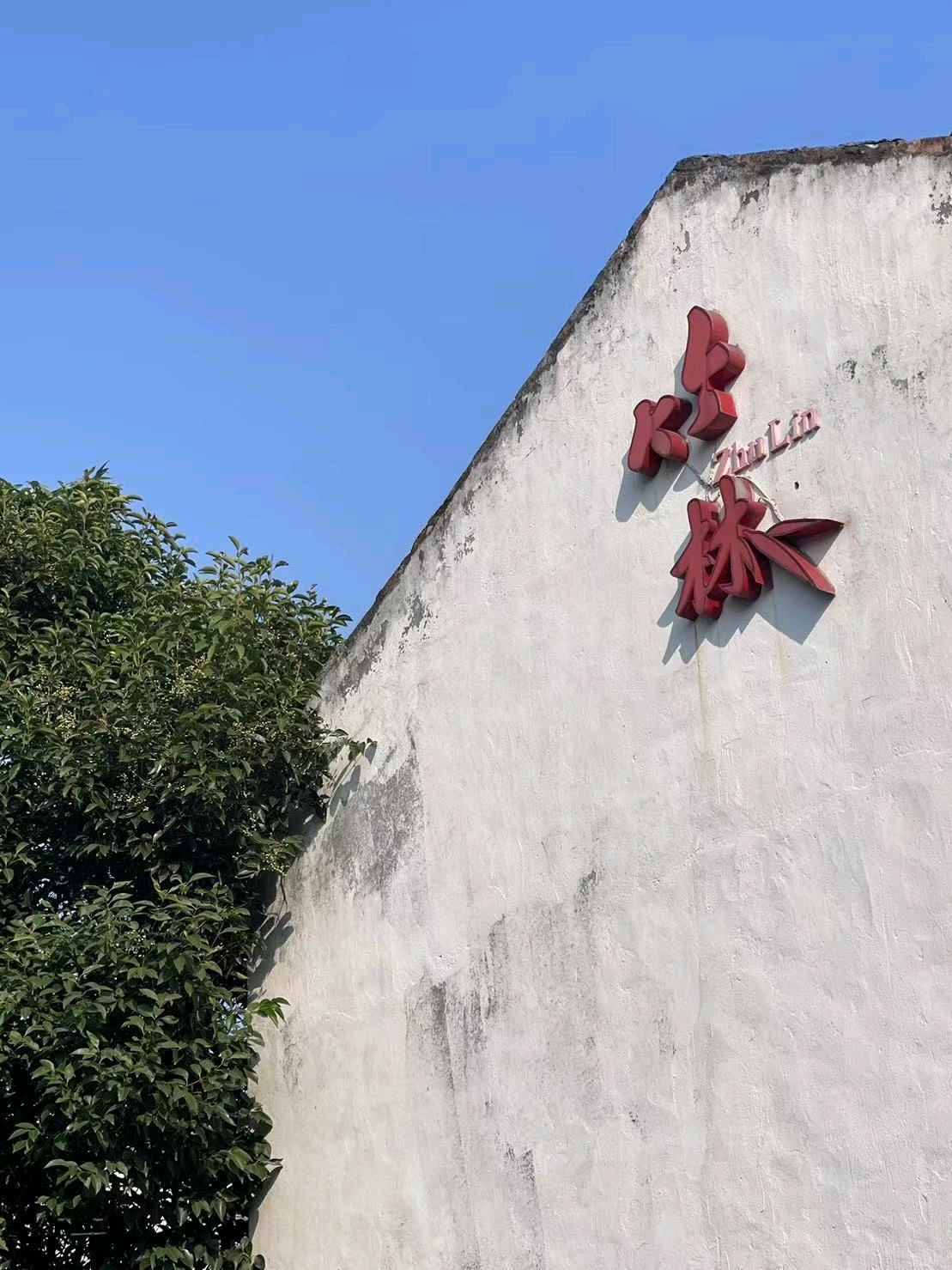 竹林村景区旅行图片 2