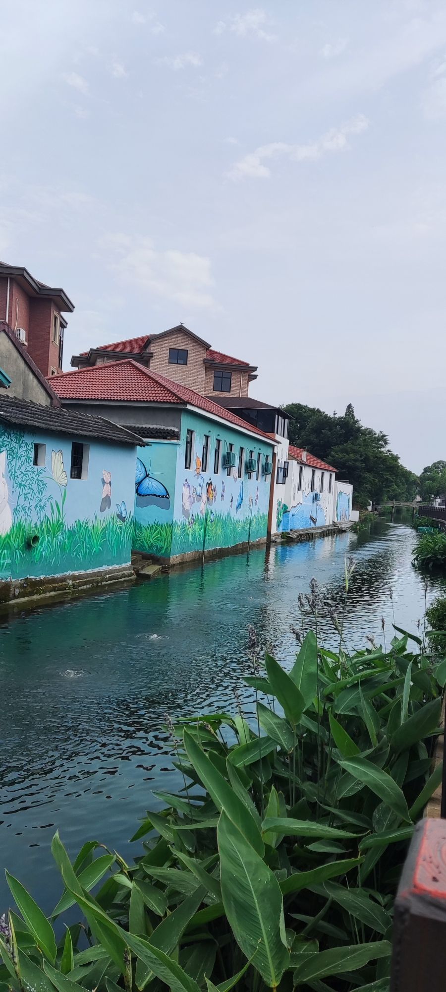 竹林村景区旅行图片 1