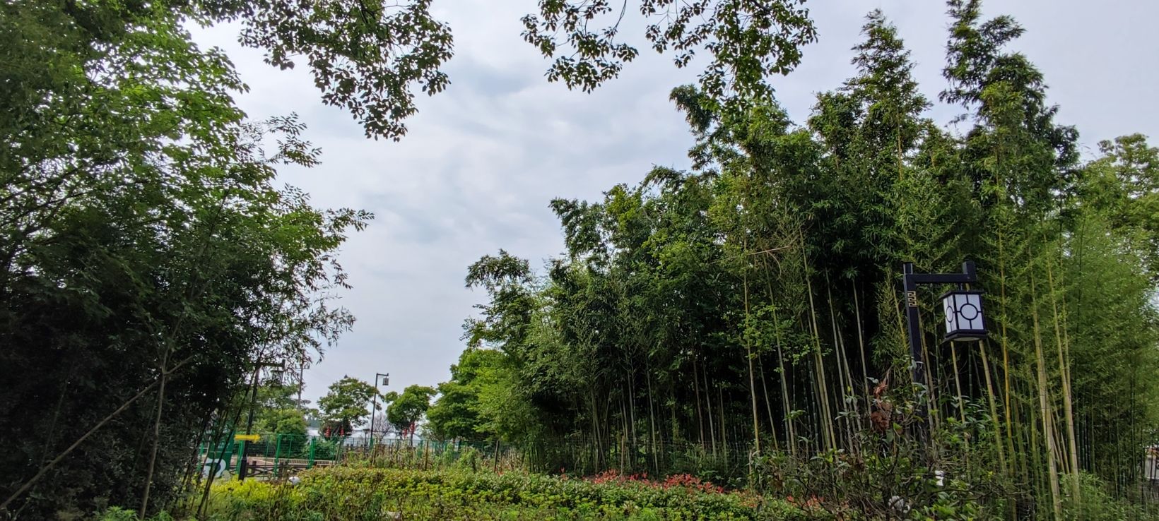 竹林村景区旅行图片 3