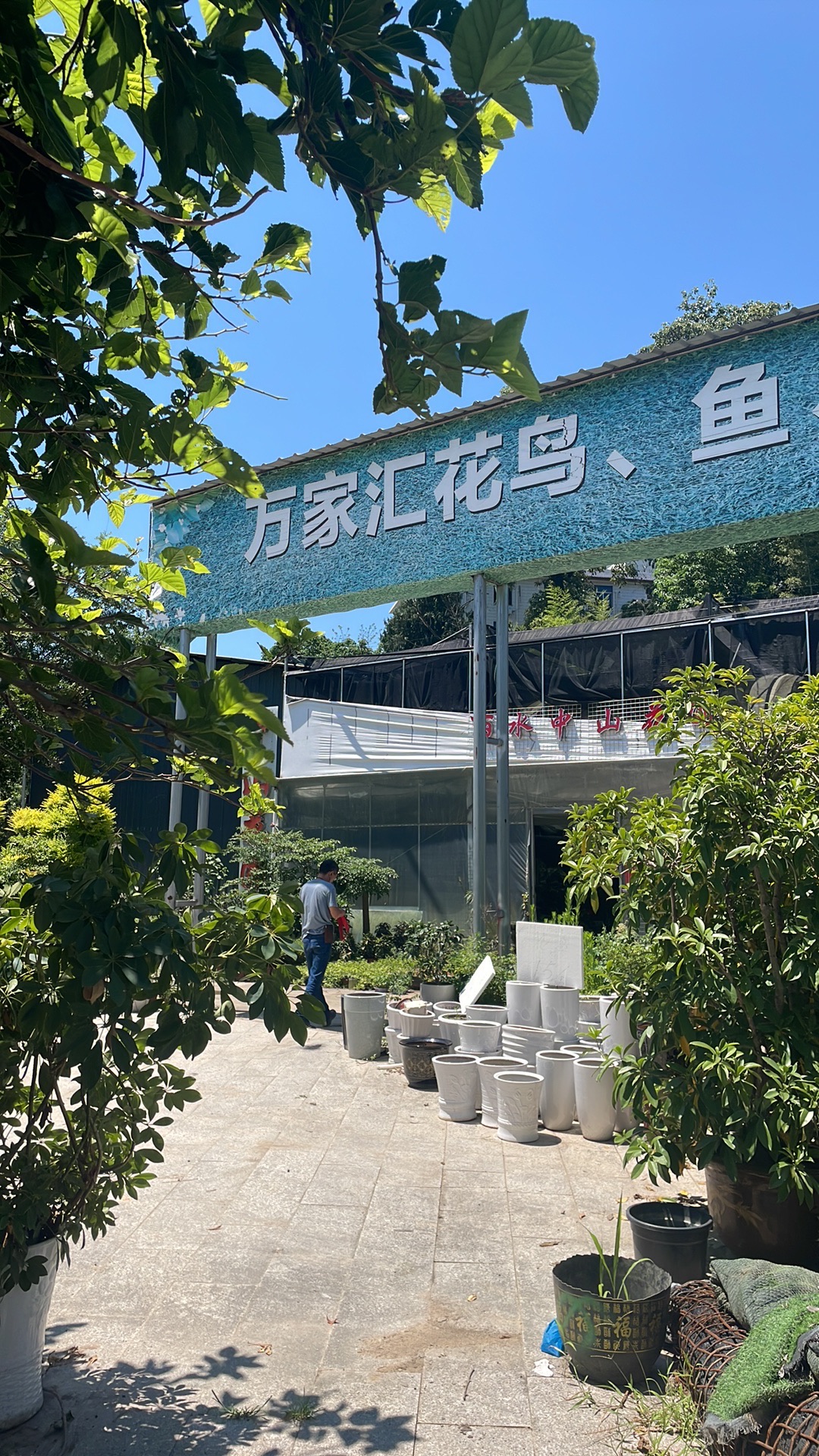 万家汇花鸟鱼虫市场