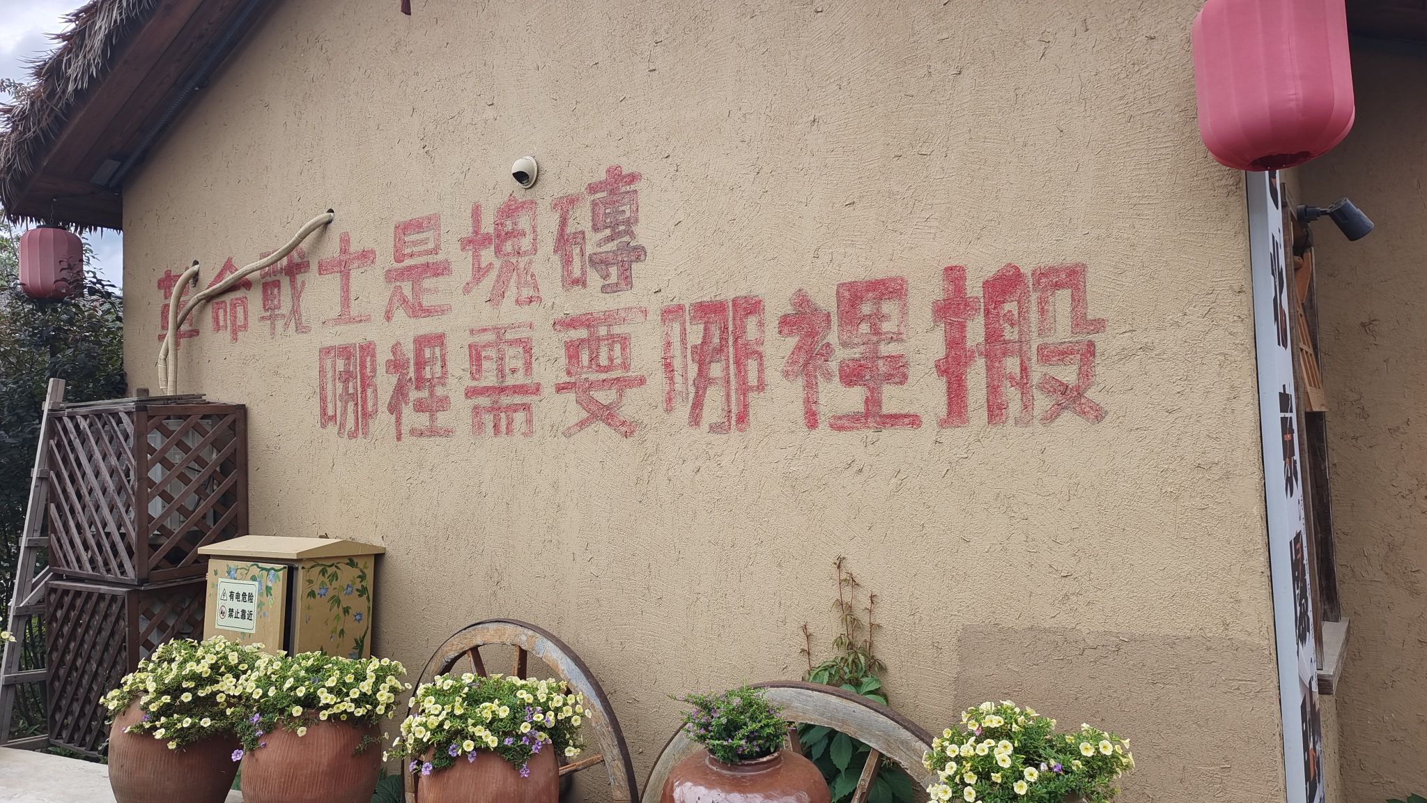 梅小野星光花海旅行图片 3
