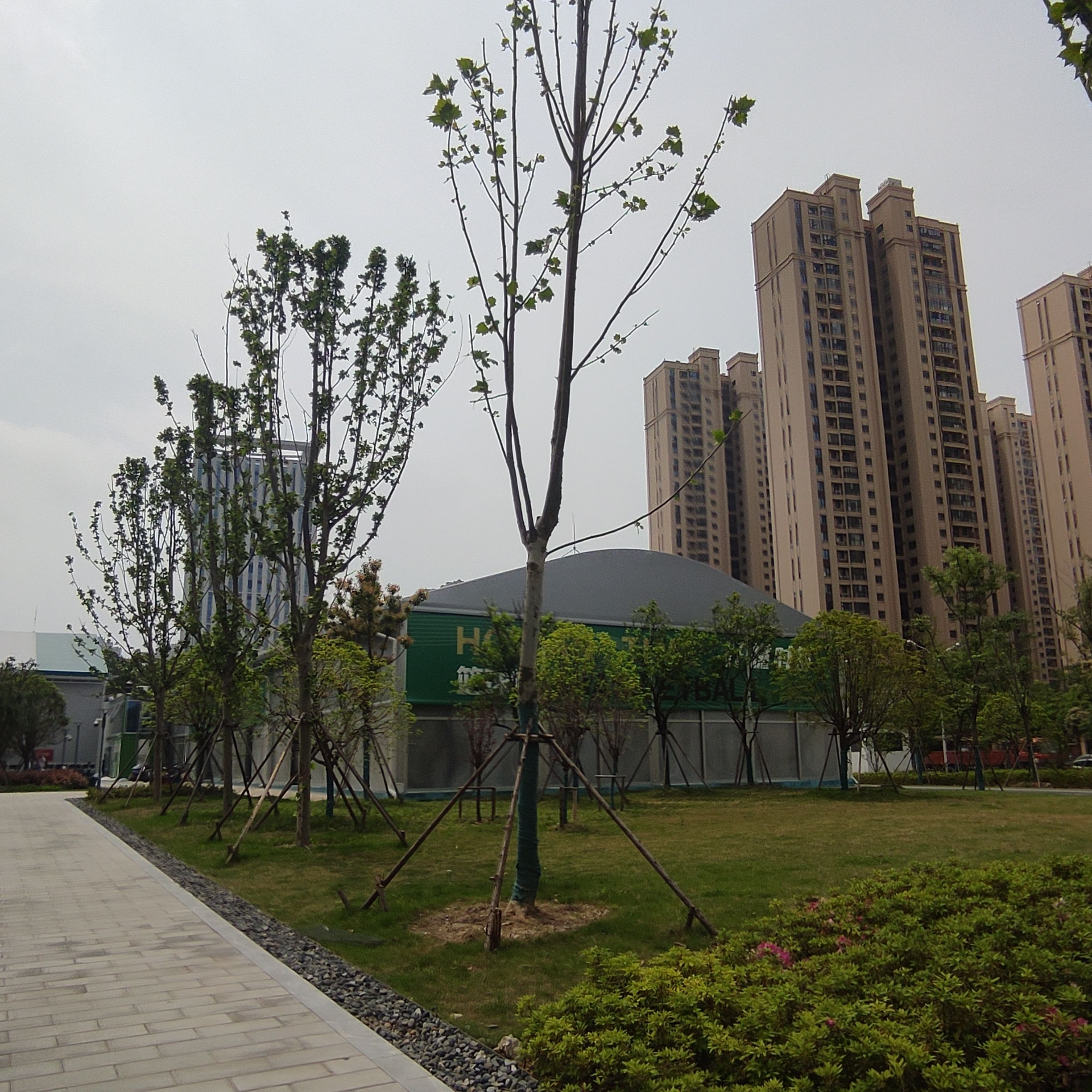 张家湾人民公园旅行图片 2