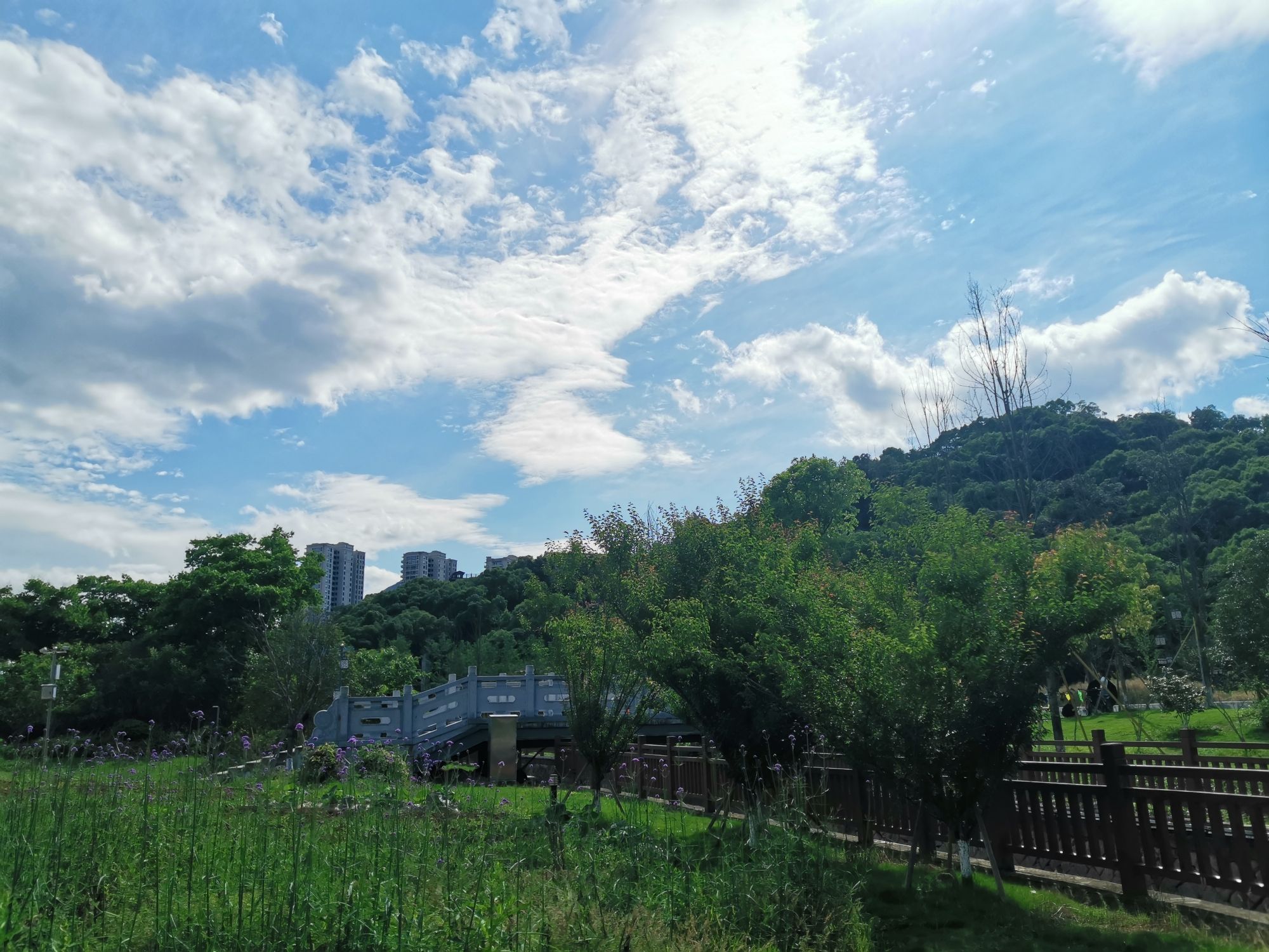 三桥里公园旅行图片 3