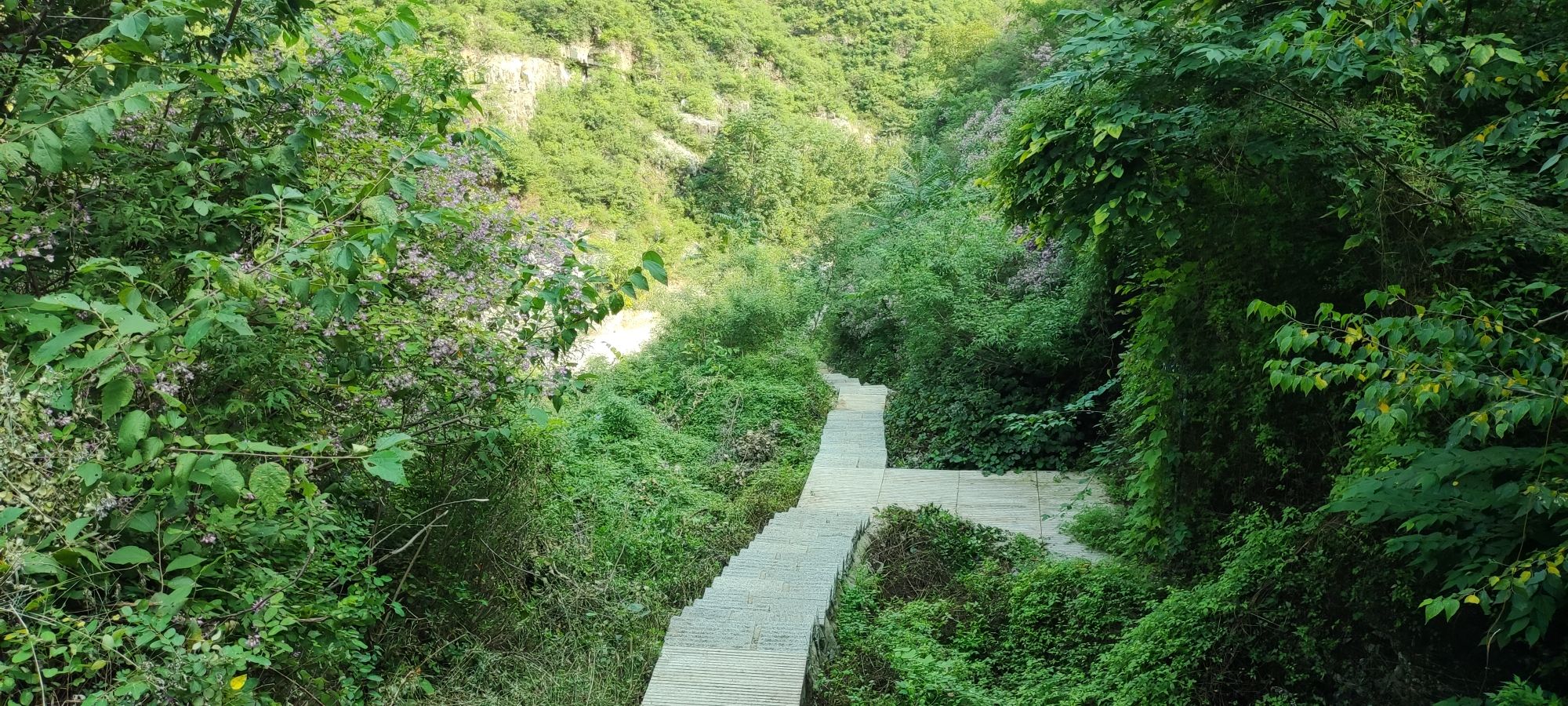 潮源洞旅行图片 1