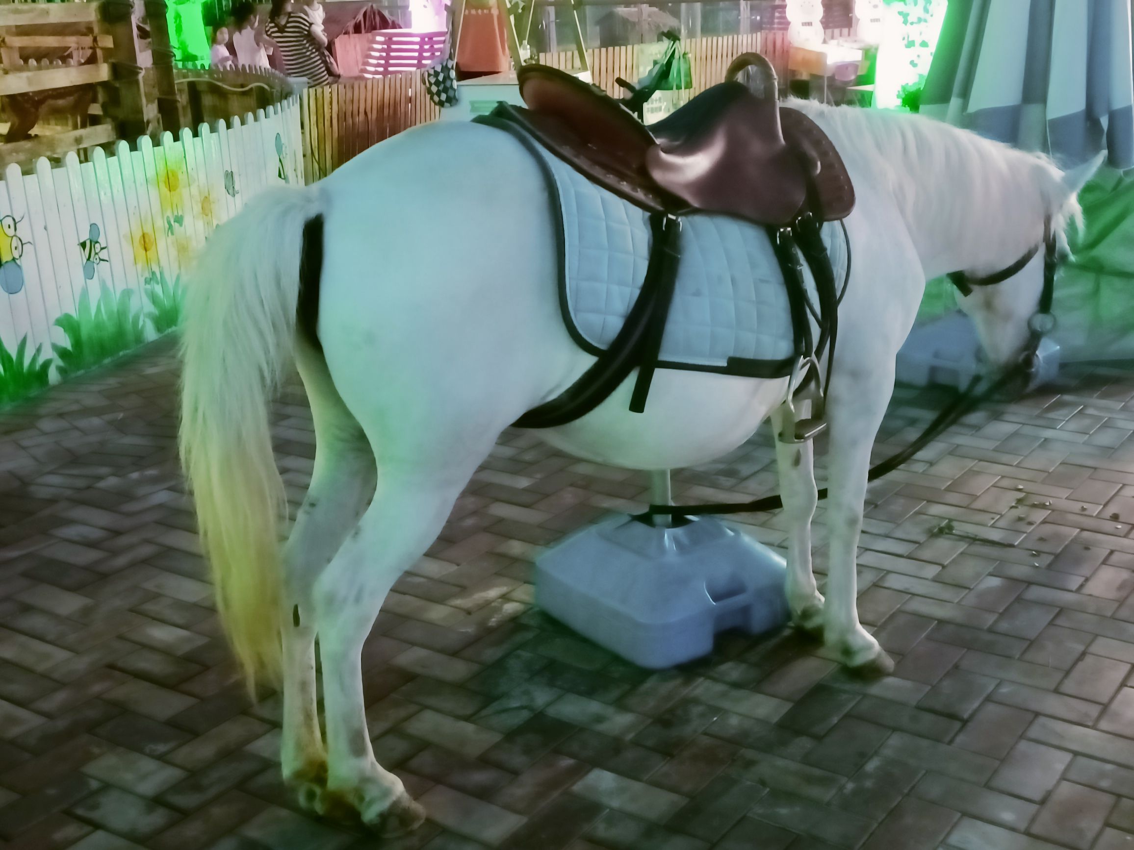 辛玛奇幻乐园旅行图片 1