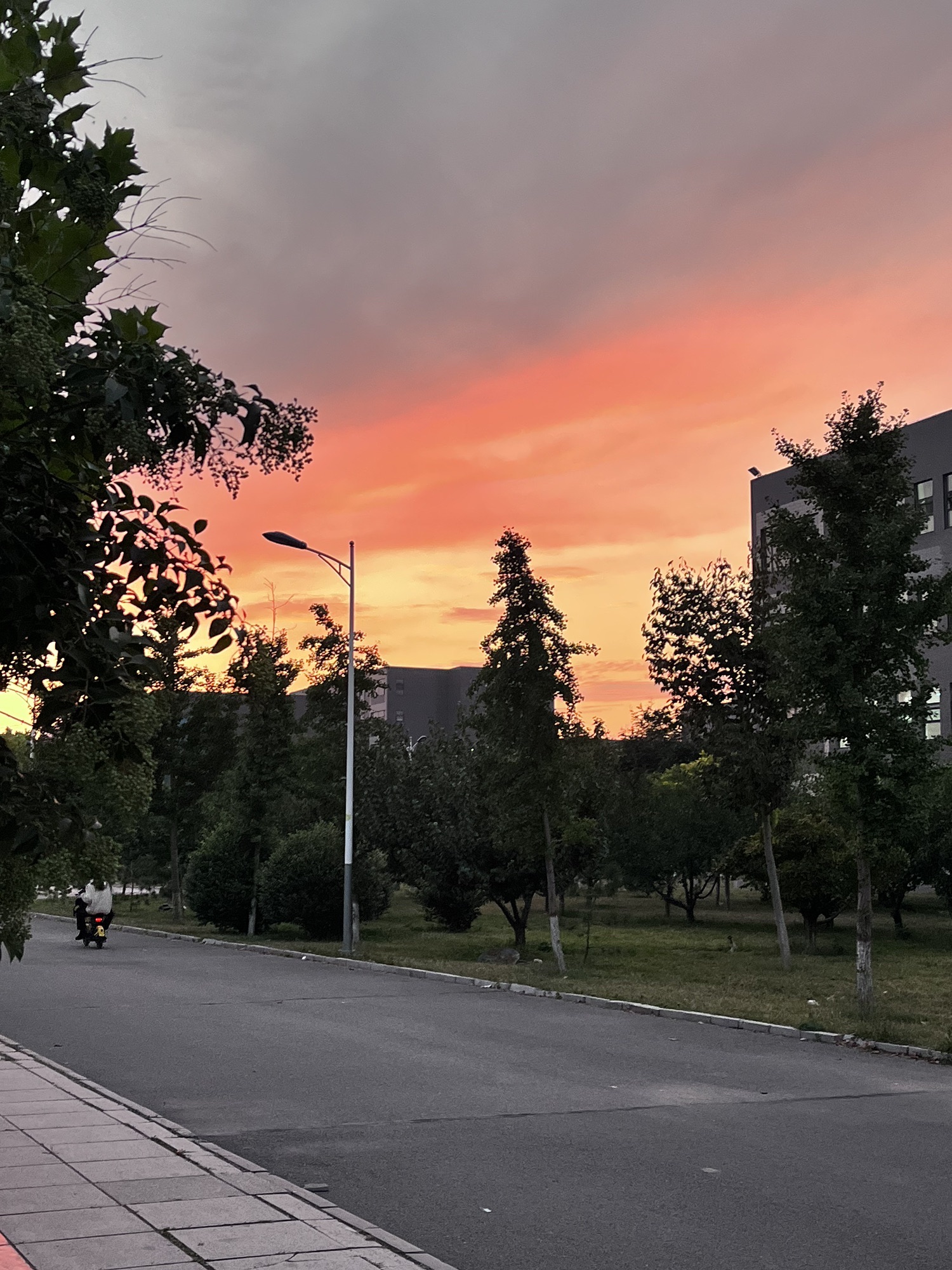 百福园旅行图片 2