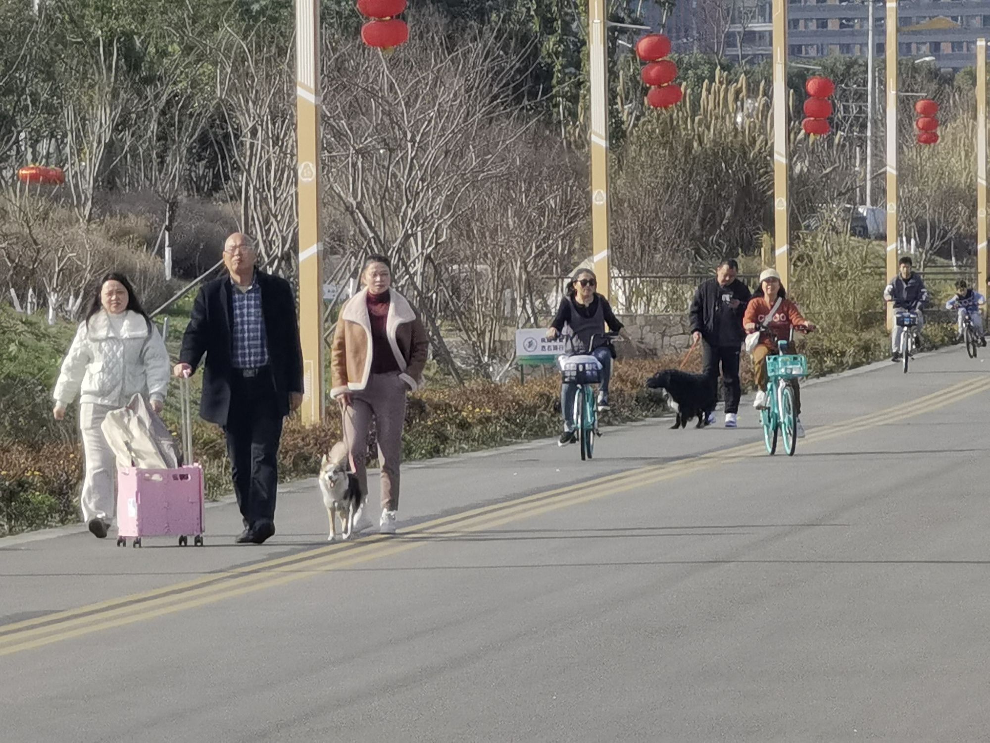萌宠乐园旅行图片 3