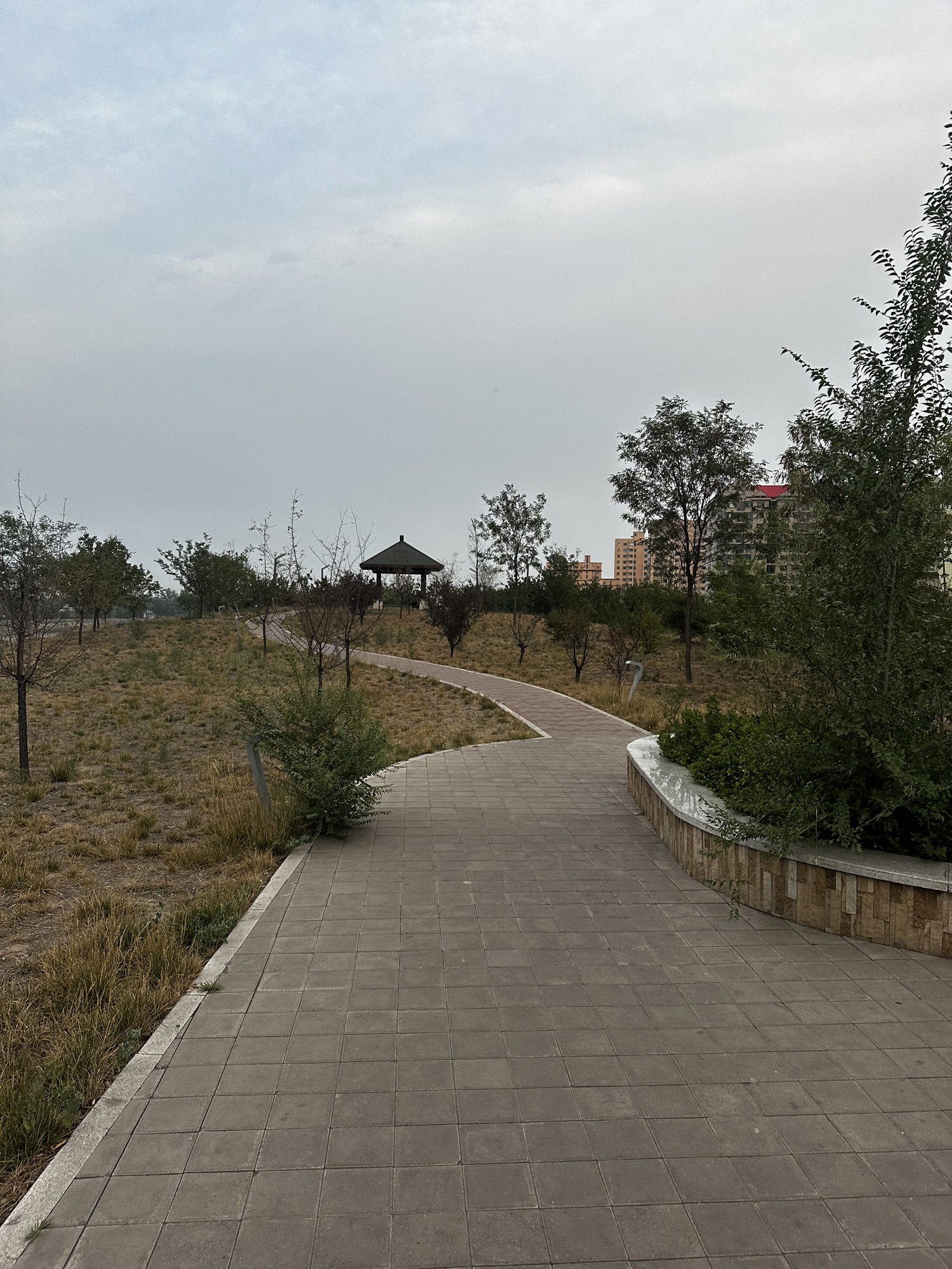 磁窑河公园旅行图片 2