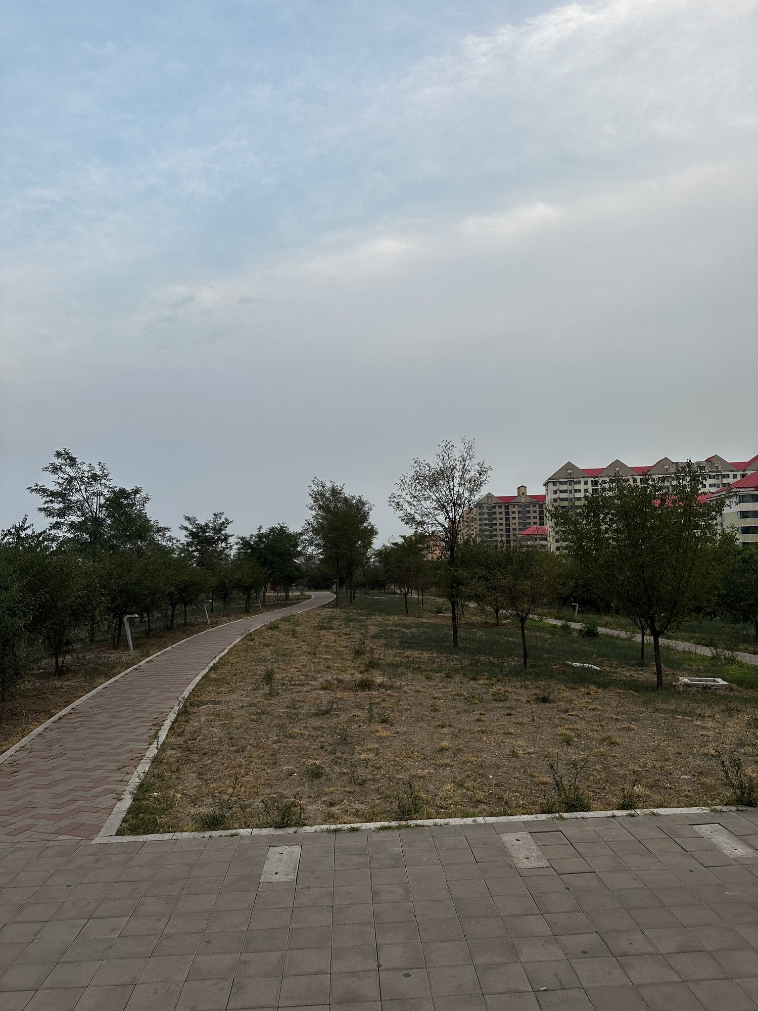磁窑河公园旅行图片 1