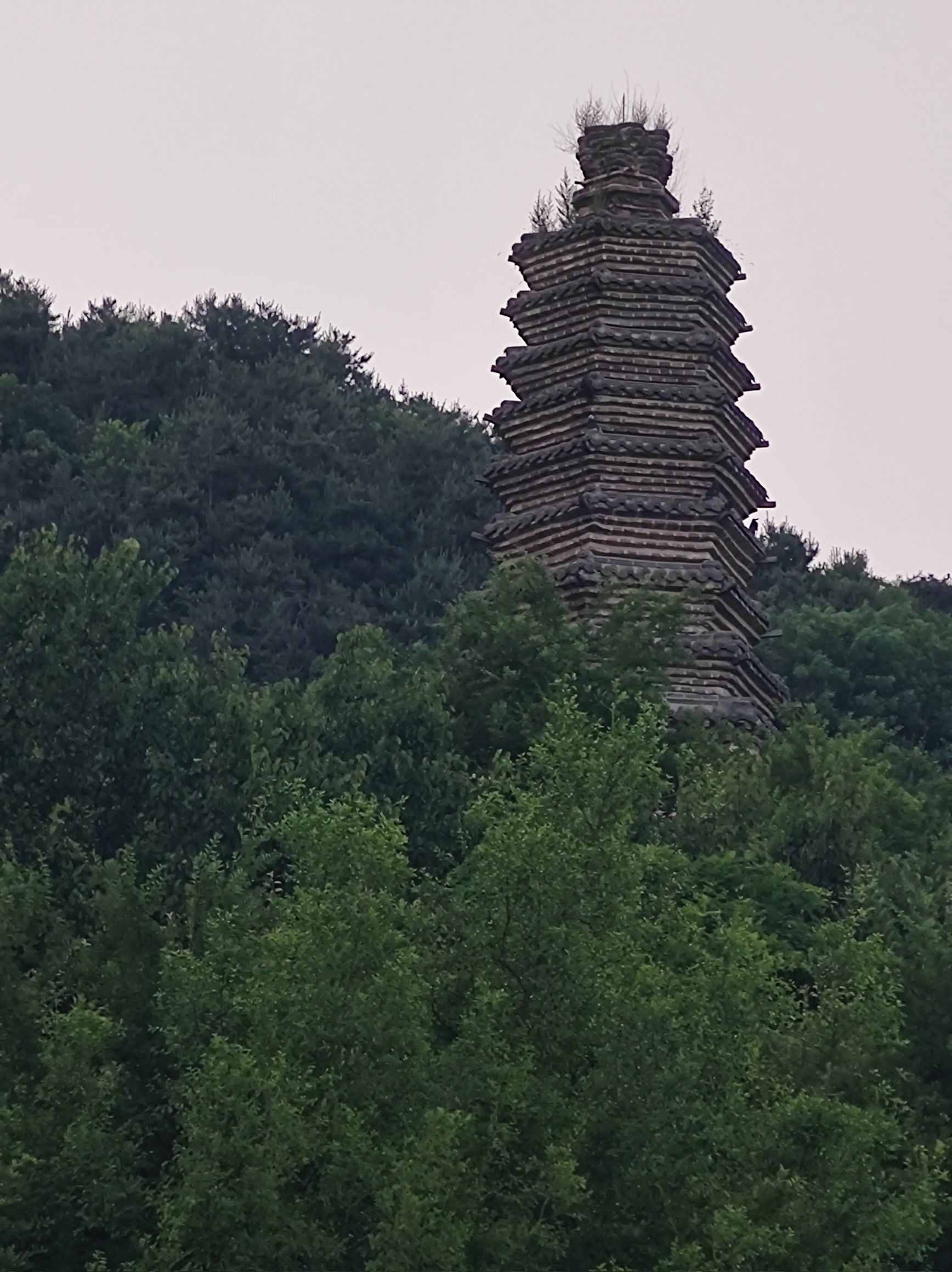 银佛塔旅行图片 1