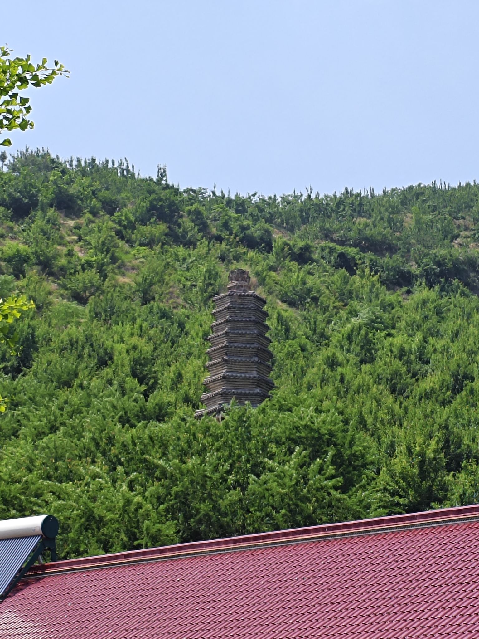 银佛塔旅行图片 1